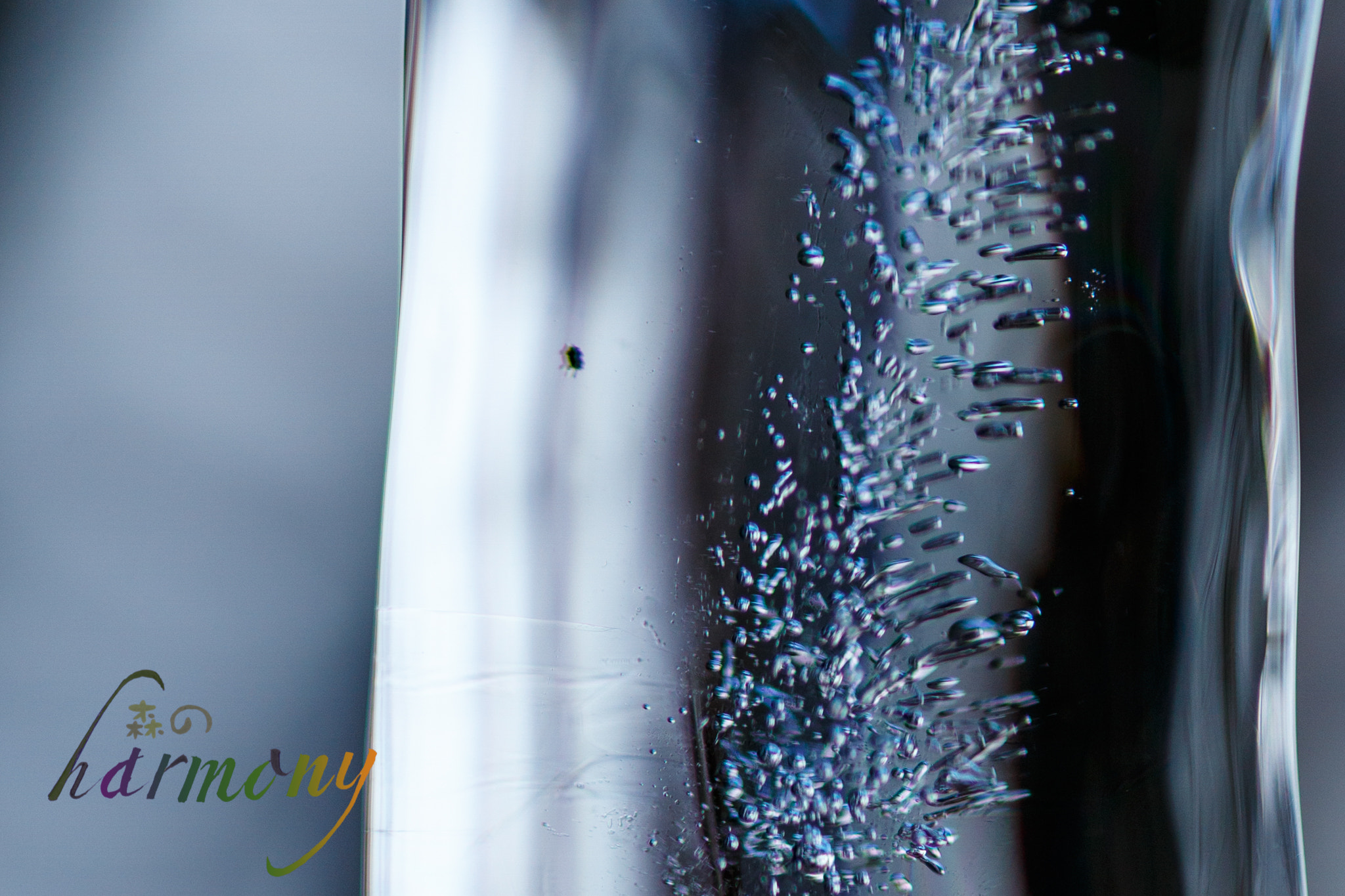 Canon EOS 6D + Tamron SP AF 90mm F2.8 Di Macro sample photo. Insect in the icicle? photography