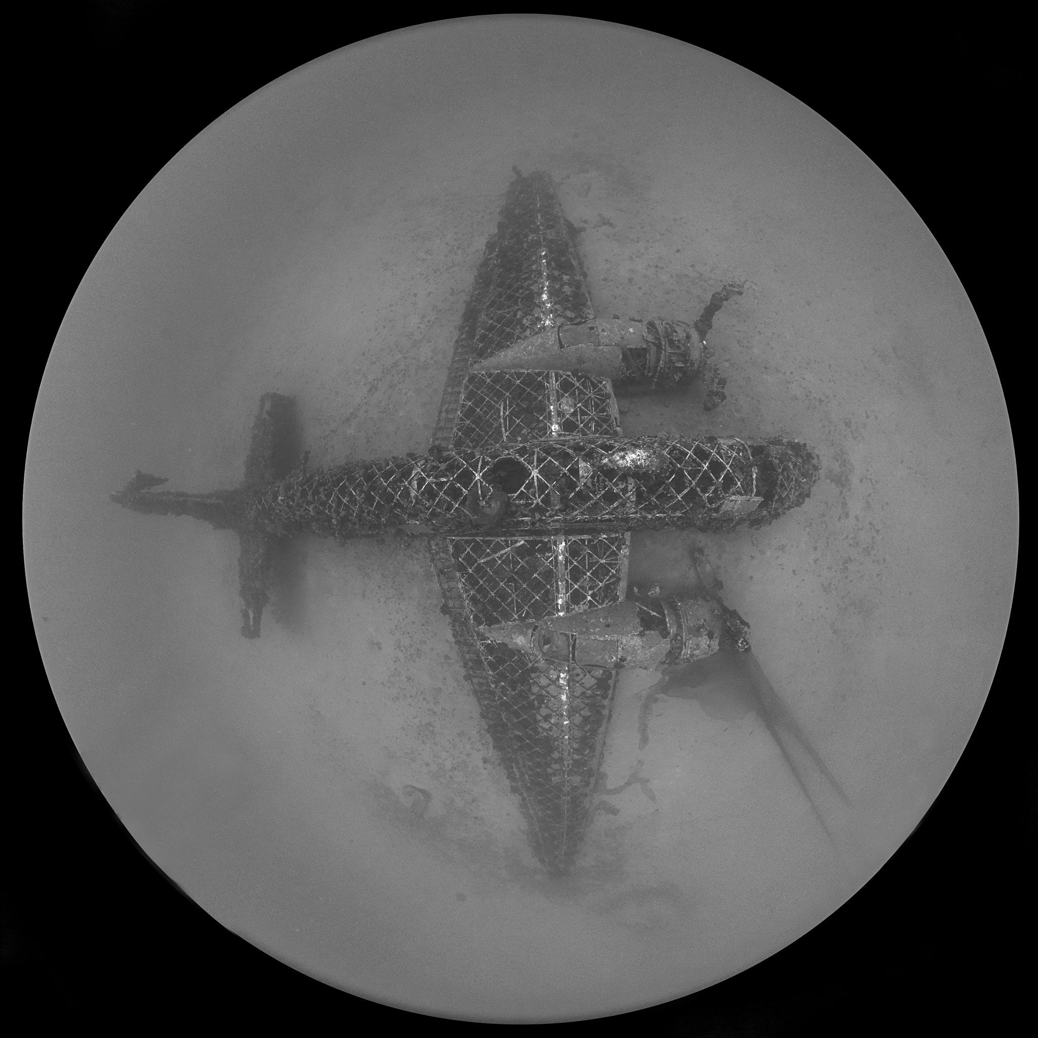 Canon EF 8-15mm F4L Fisheye USM sample photo. Wellington aircraft photography
