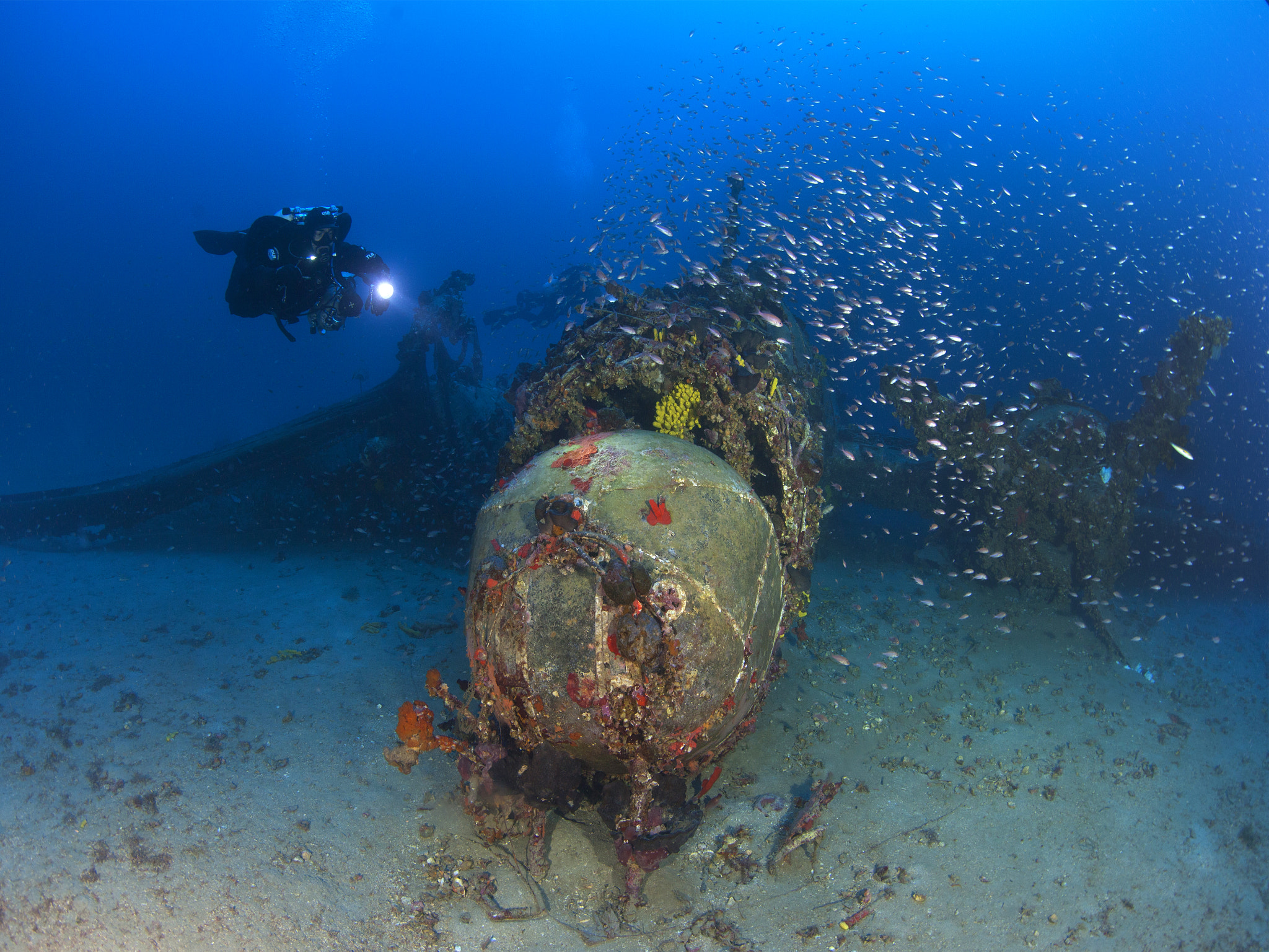 Canon EOS 5D Mark II + Canon EF 8-15mm F4L Fisheye USM sample photo. Wellington aircraft photography