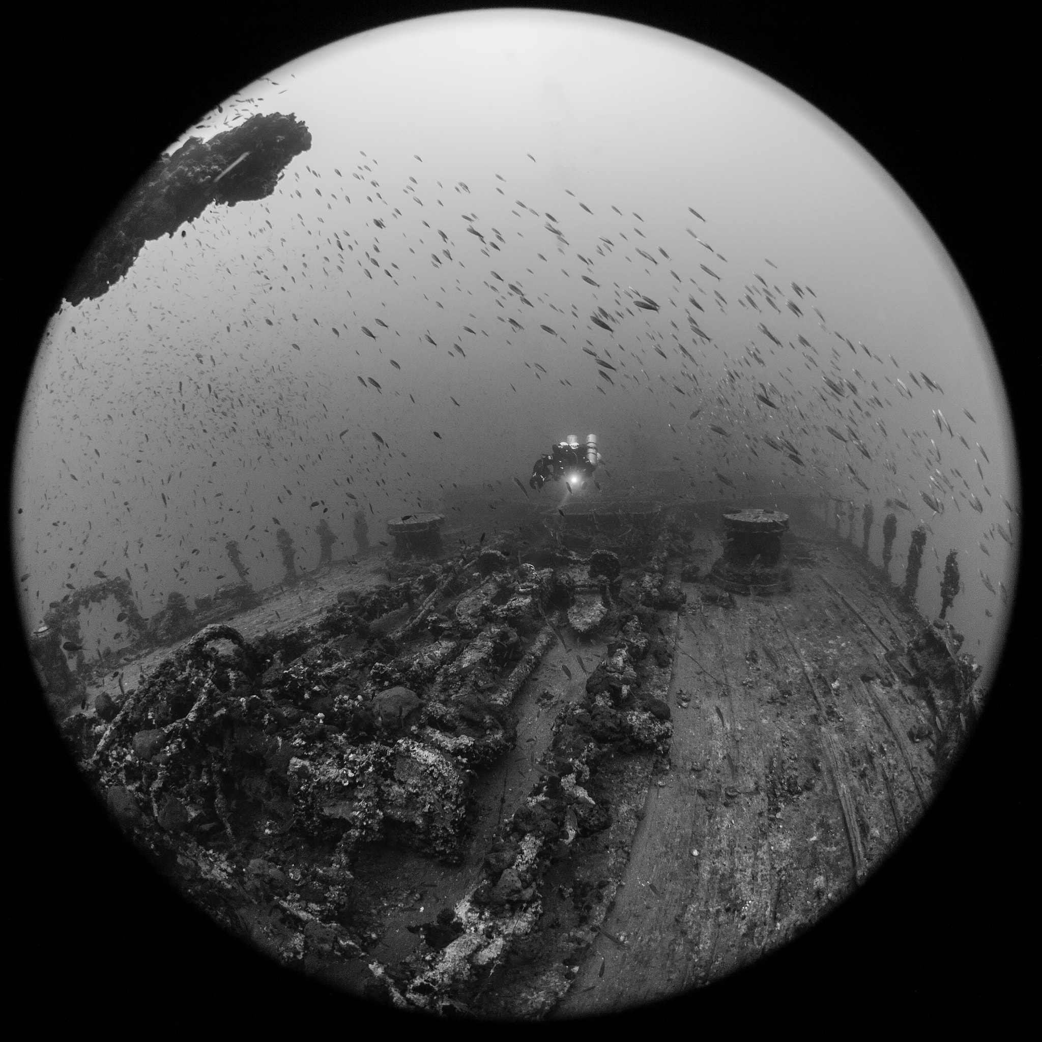 Canon EF 8-15mm F4L Fisheye USM sample photo. Wreck photography