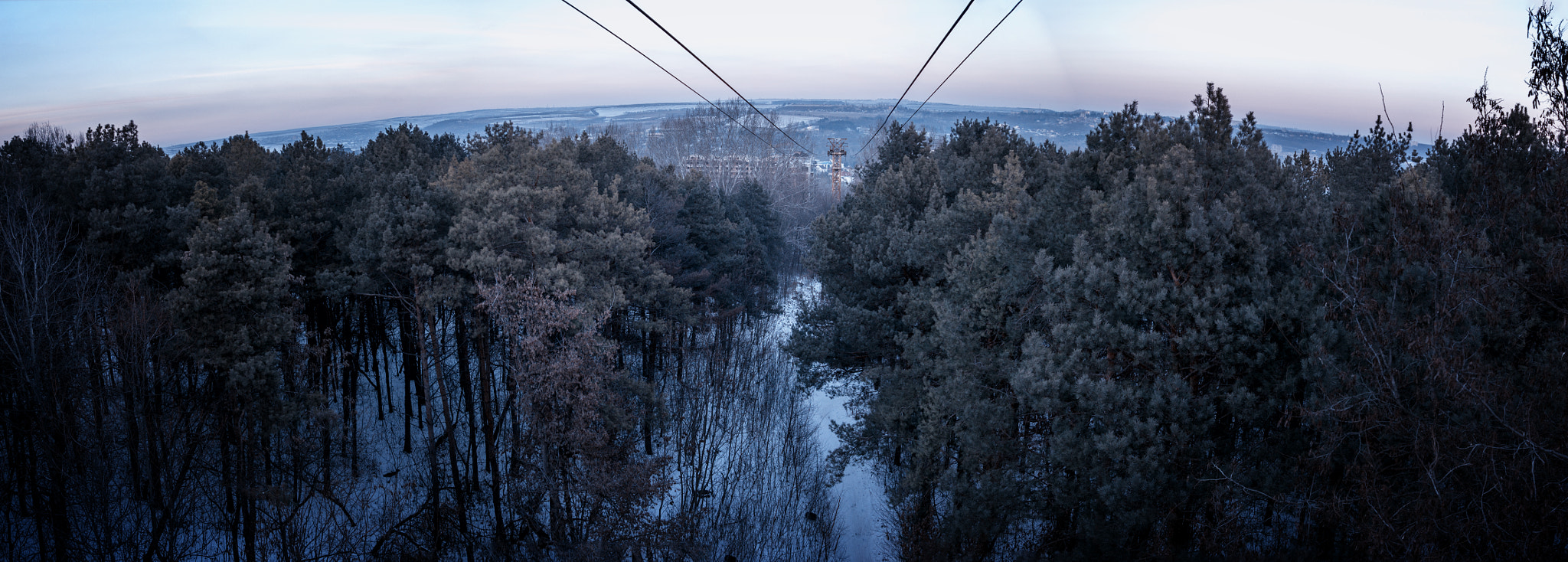 Sony SLT-A57 sample photo. Winter forest photography