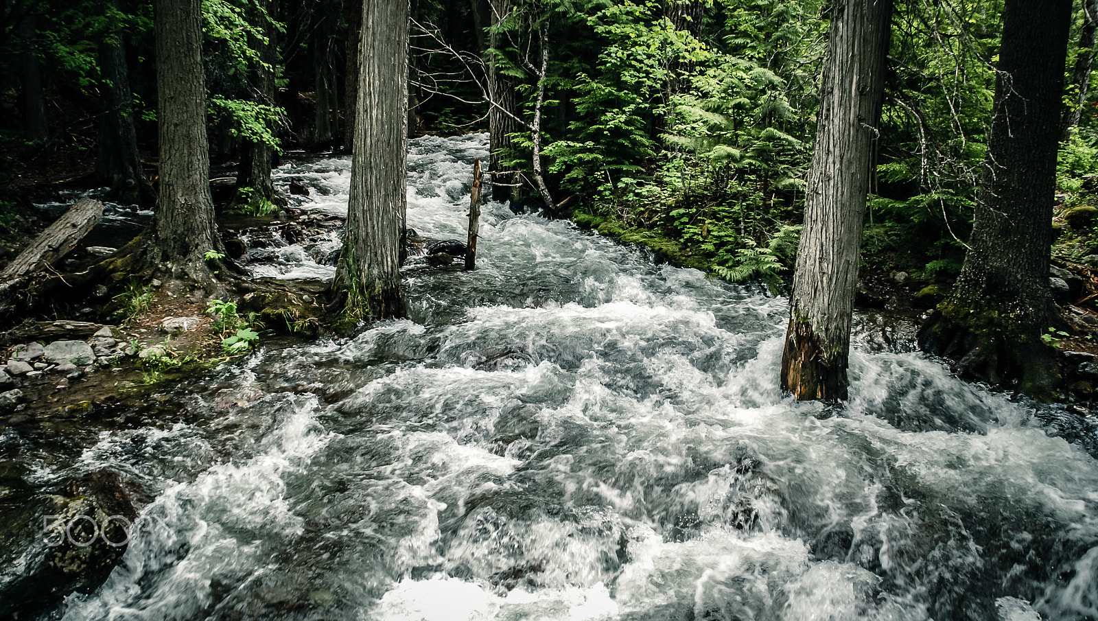 Nikon D80 sample photo. River overflow during summer photography