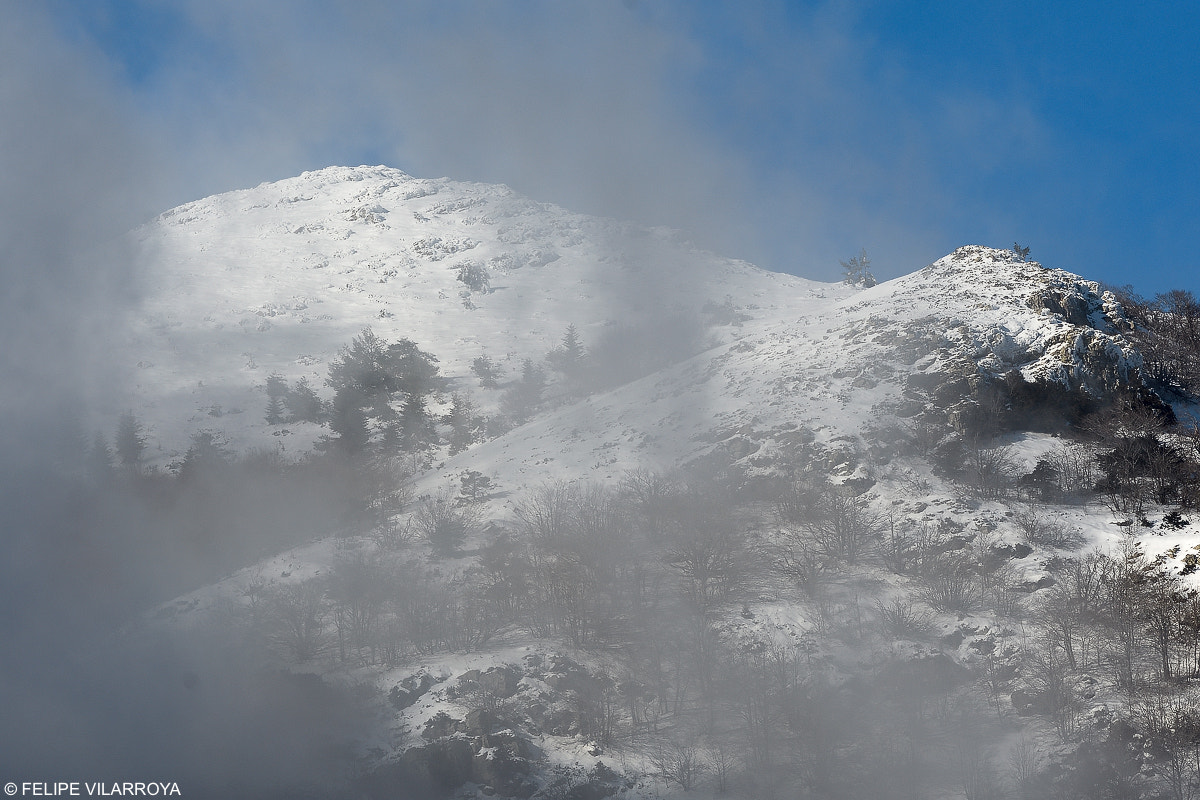 Nikon D7200 + Nikon AF-S Nikkor 300mm F4D ED-IF sample photo. Nube baja photography