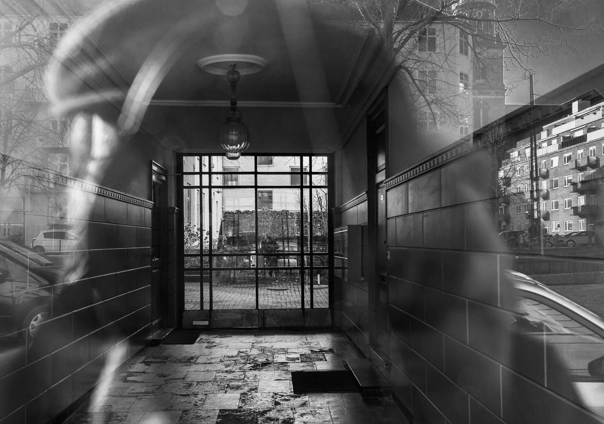 Nikon D5000 sample photo. Through the eye of the photographer photography