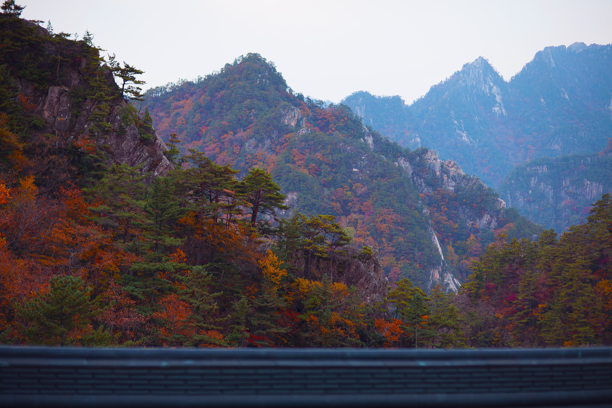 Canon EF 85mm F1.2L II USM sample photo. Shot63 photography