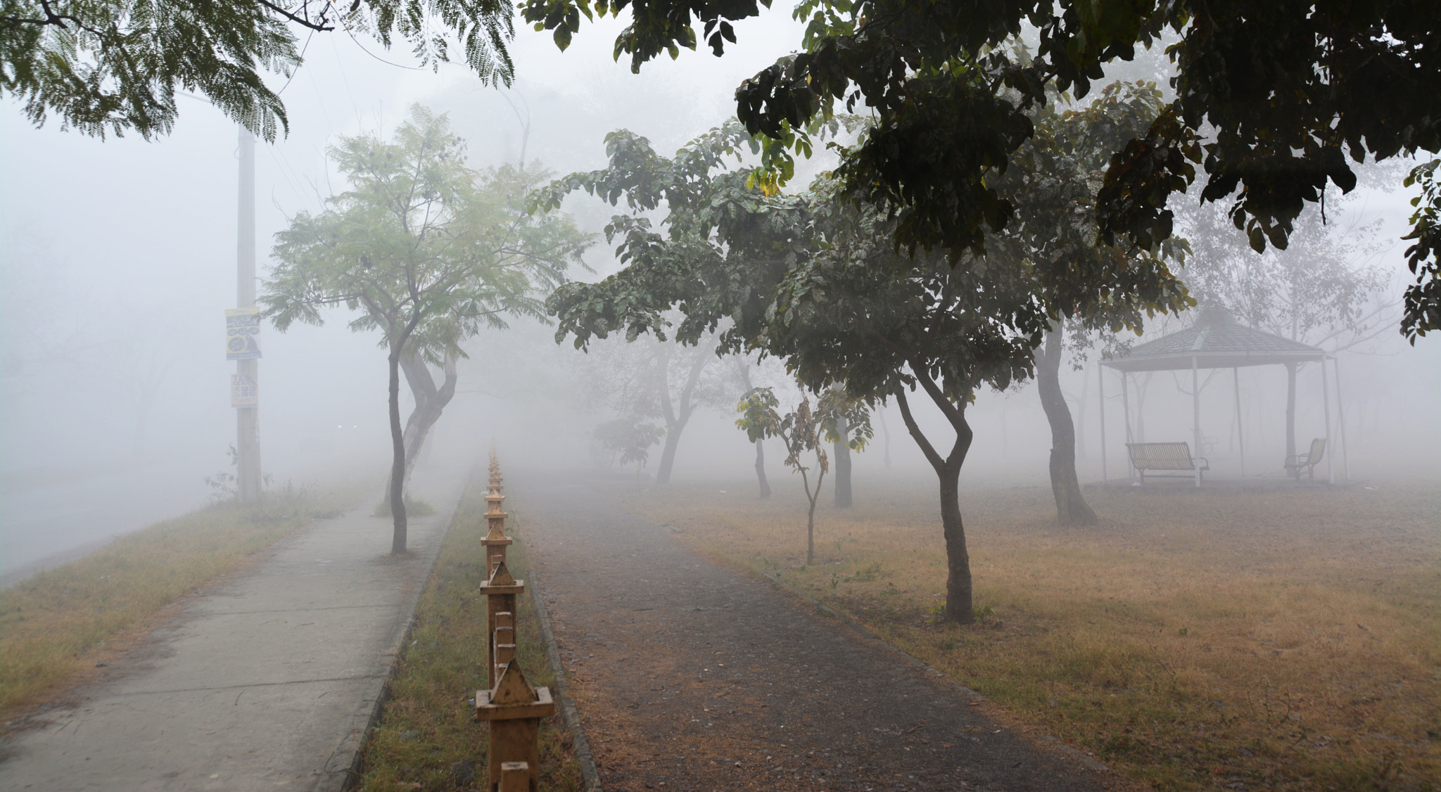 Sigma 18-250mm F3.5-6.3 DC Macro OS HSM sample photo. Fog mystery.... photography
