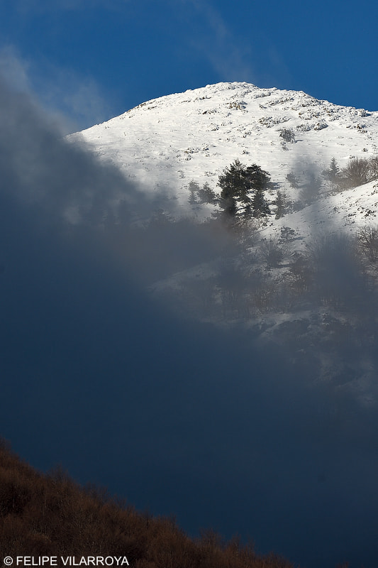 Nikon D7200 + Nikon AF-S Nikkor 300mm F4D ED-IF sample photo. Nube alta photography