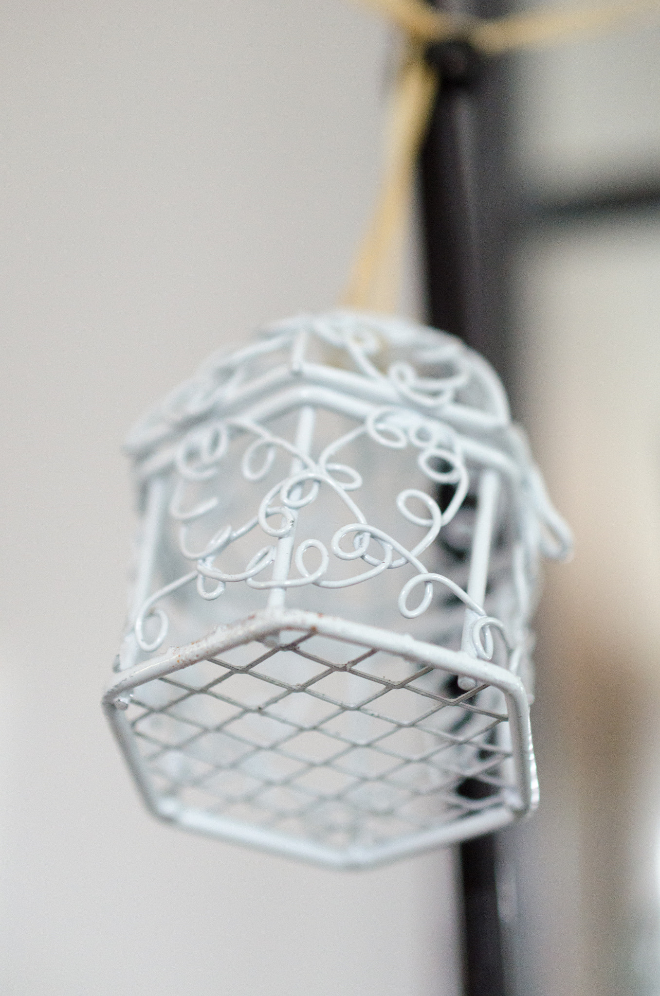 Nikon AF-S DX Micro Nikkor 40mm F2.8 sample photo. Cage photography
