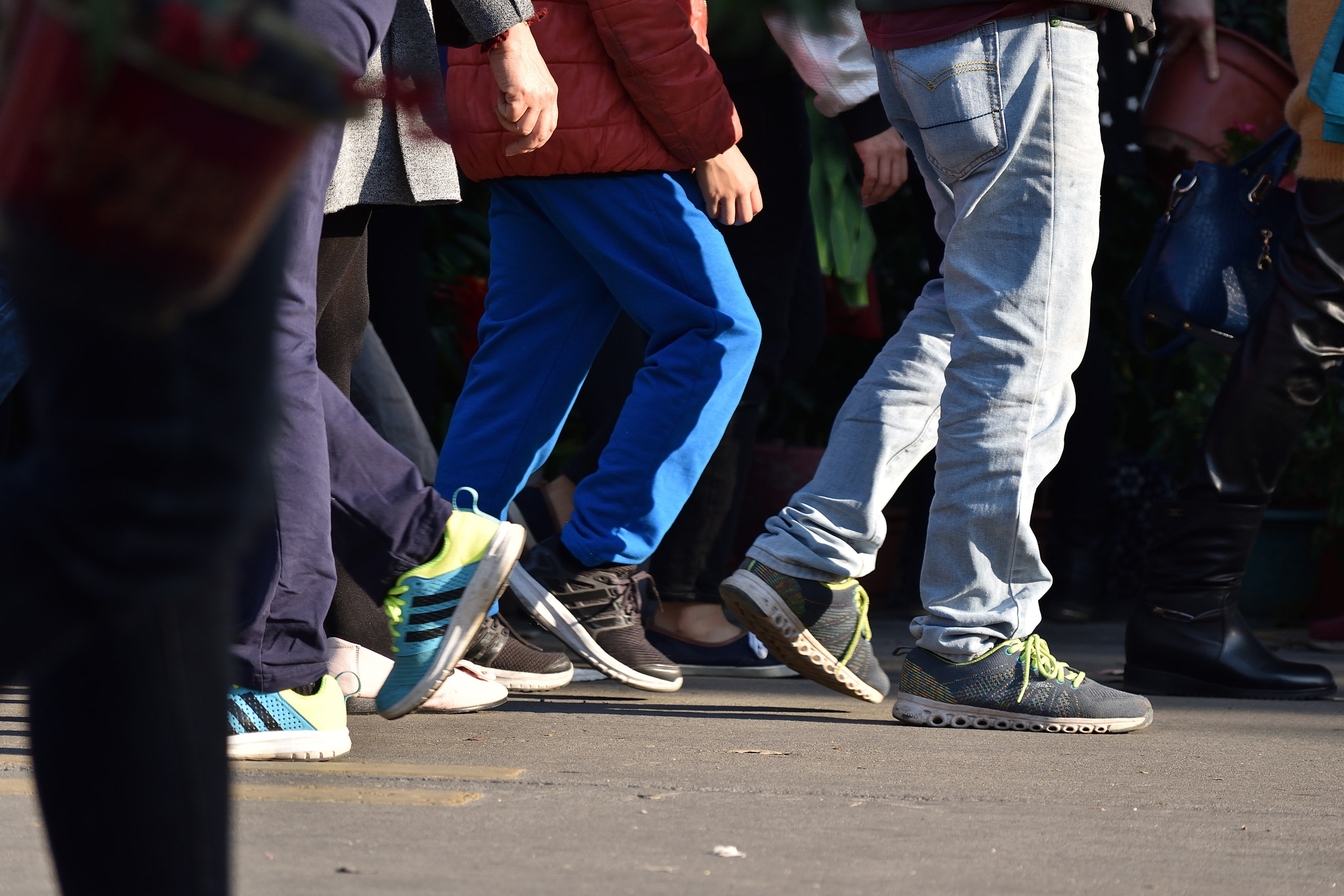 Nikon D5500 sample photo. Walk photography