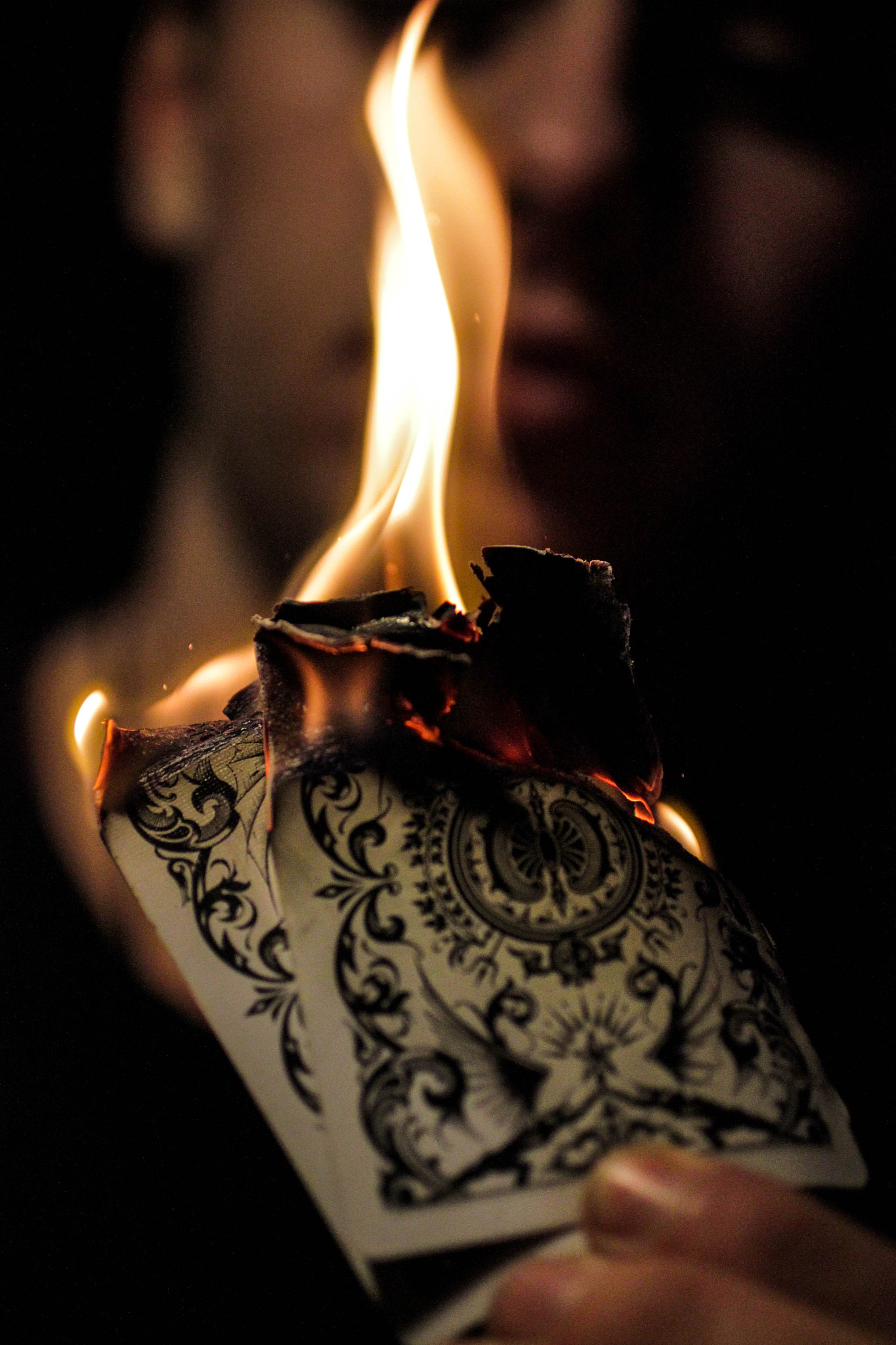 Canon EF 50mm F2.5 Macro sample photo. Flaming cards photography
