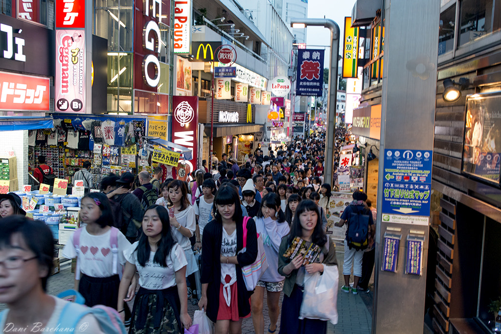 Canon EOS 70D + Sigma 24-70mm F2.8 EX DG Macro sample photo. Tokyo and around photography