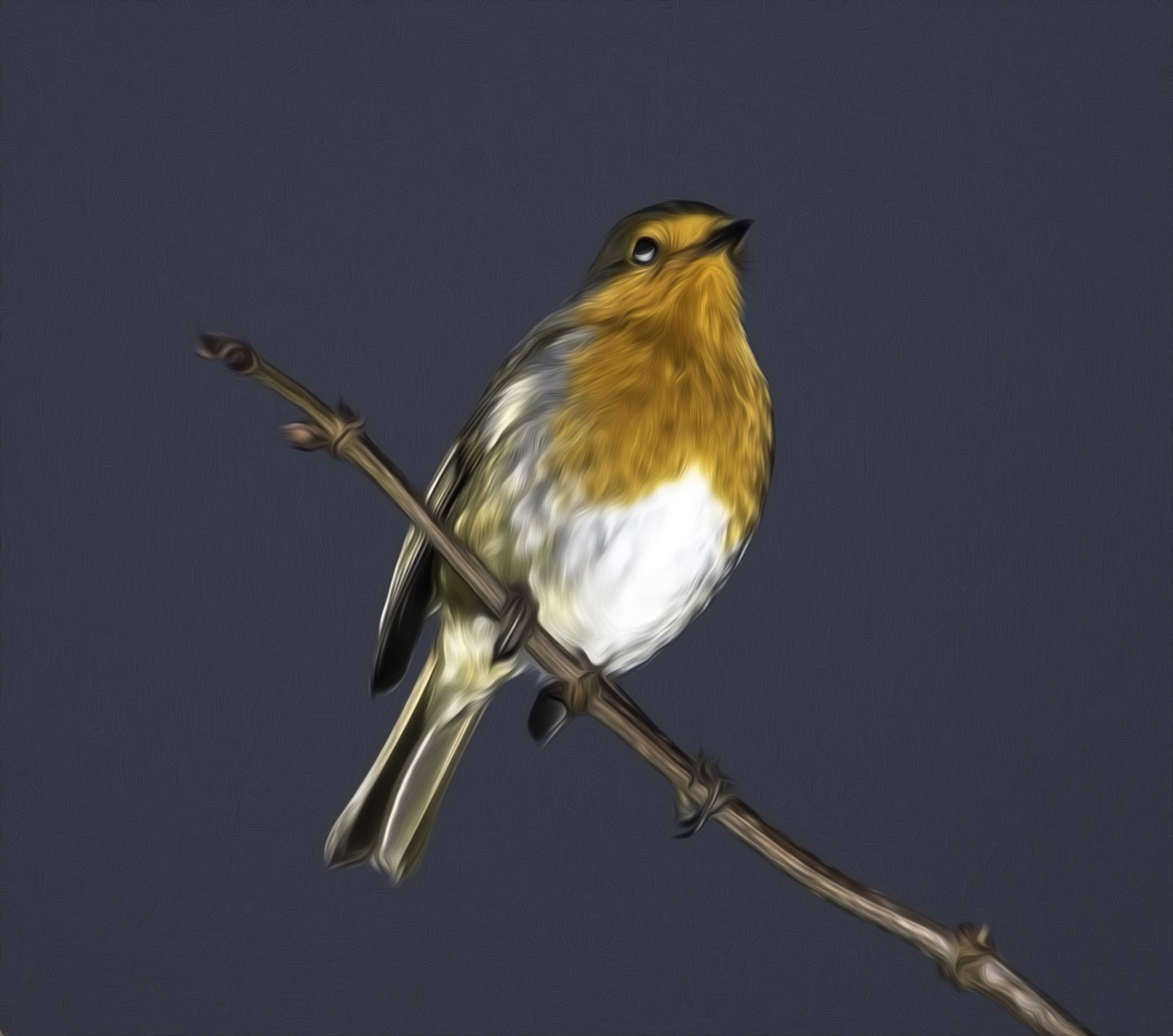 Nikon D800 sample photo. Robin i photography
