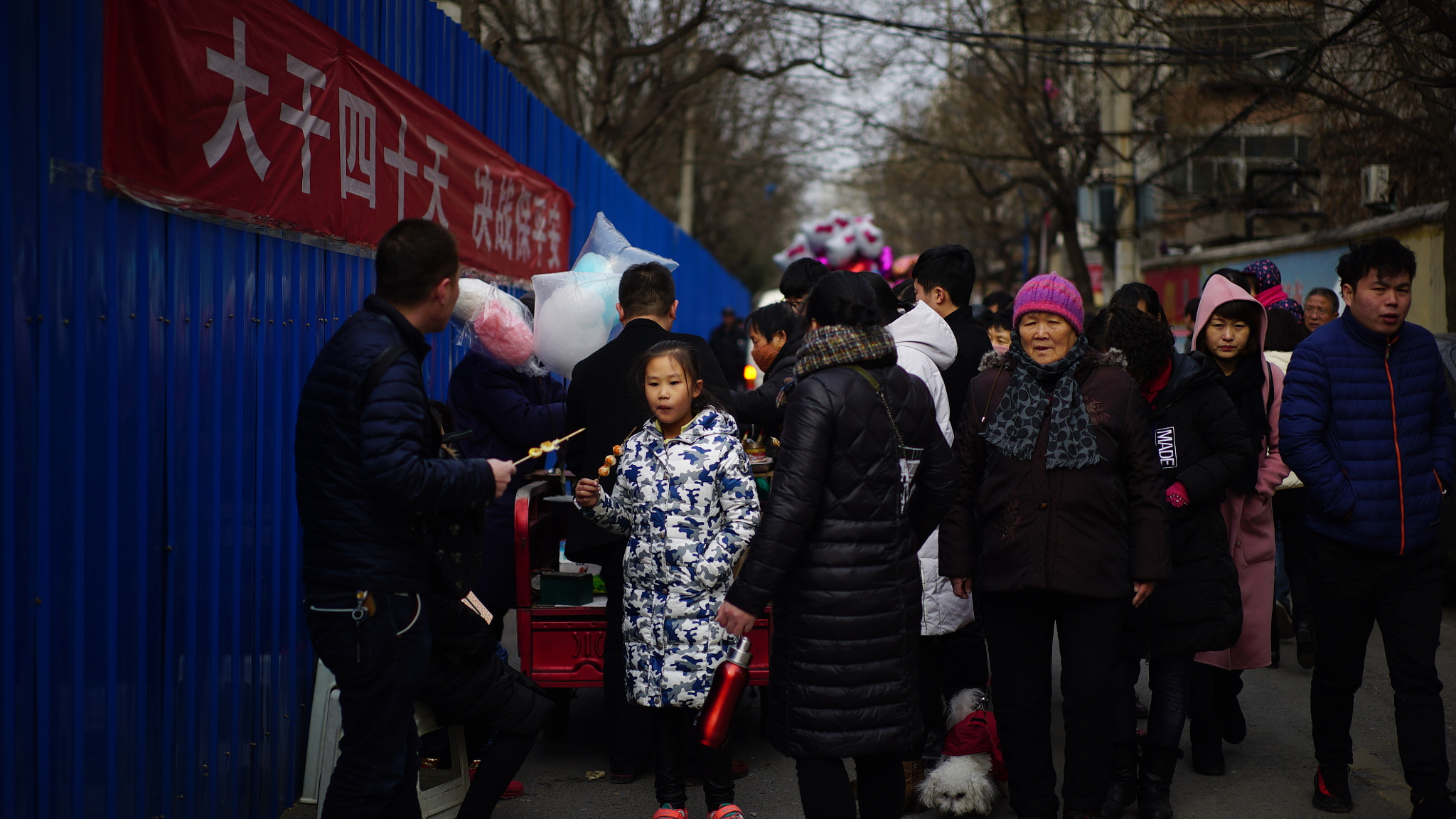 Sony a7S + Sony Sonnar T* FE 55mm F1.8 ZA sample photo. Dsc photography