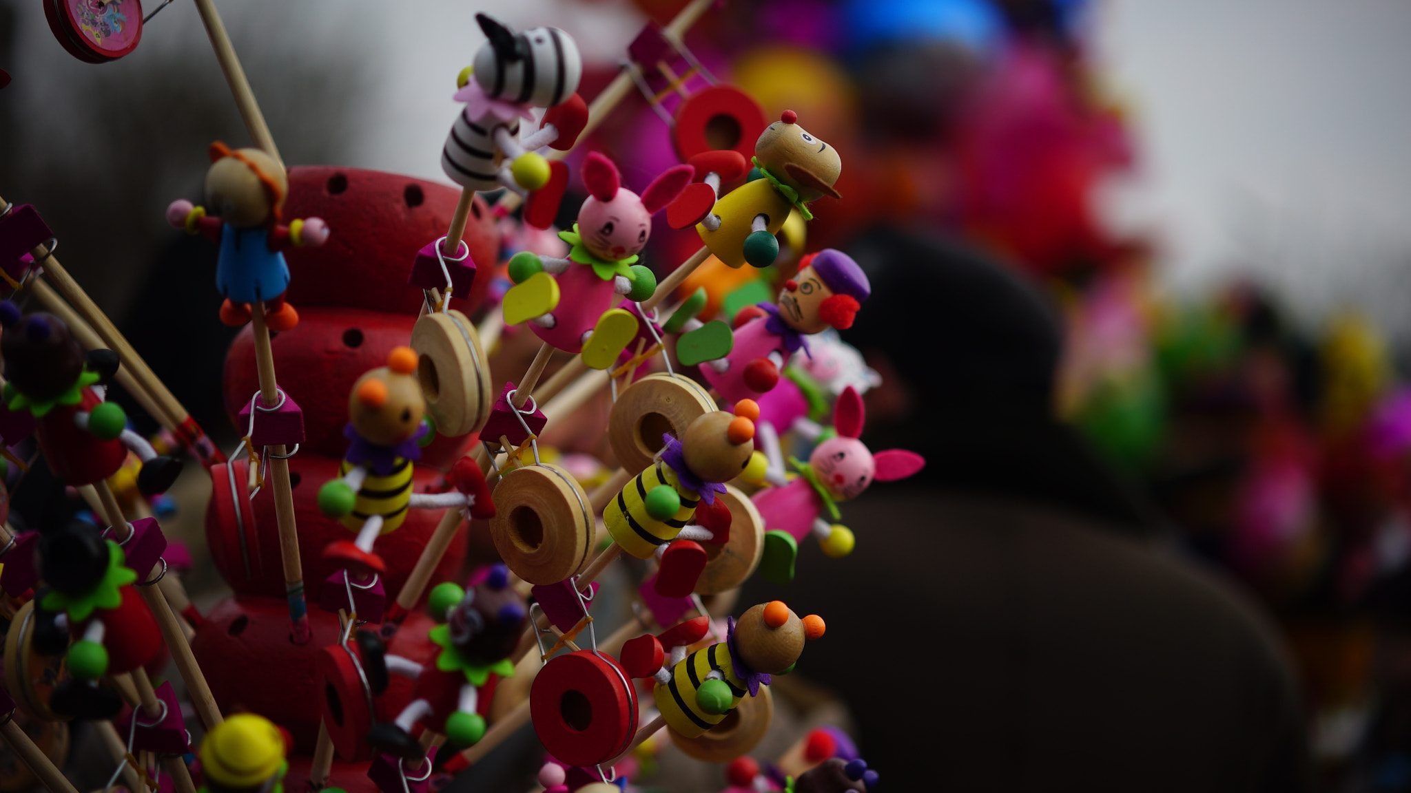 Sony a7S + Sony Sonnar T* FE 55mm F1.8 ZA sample photo. Dsc photography