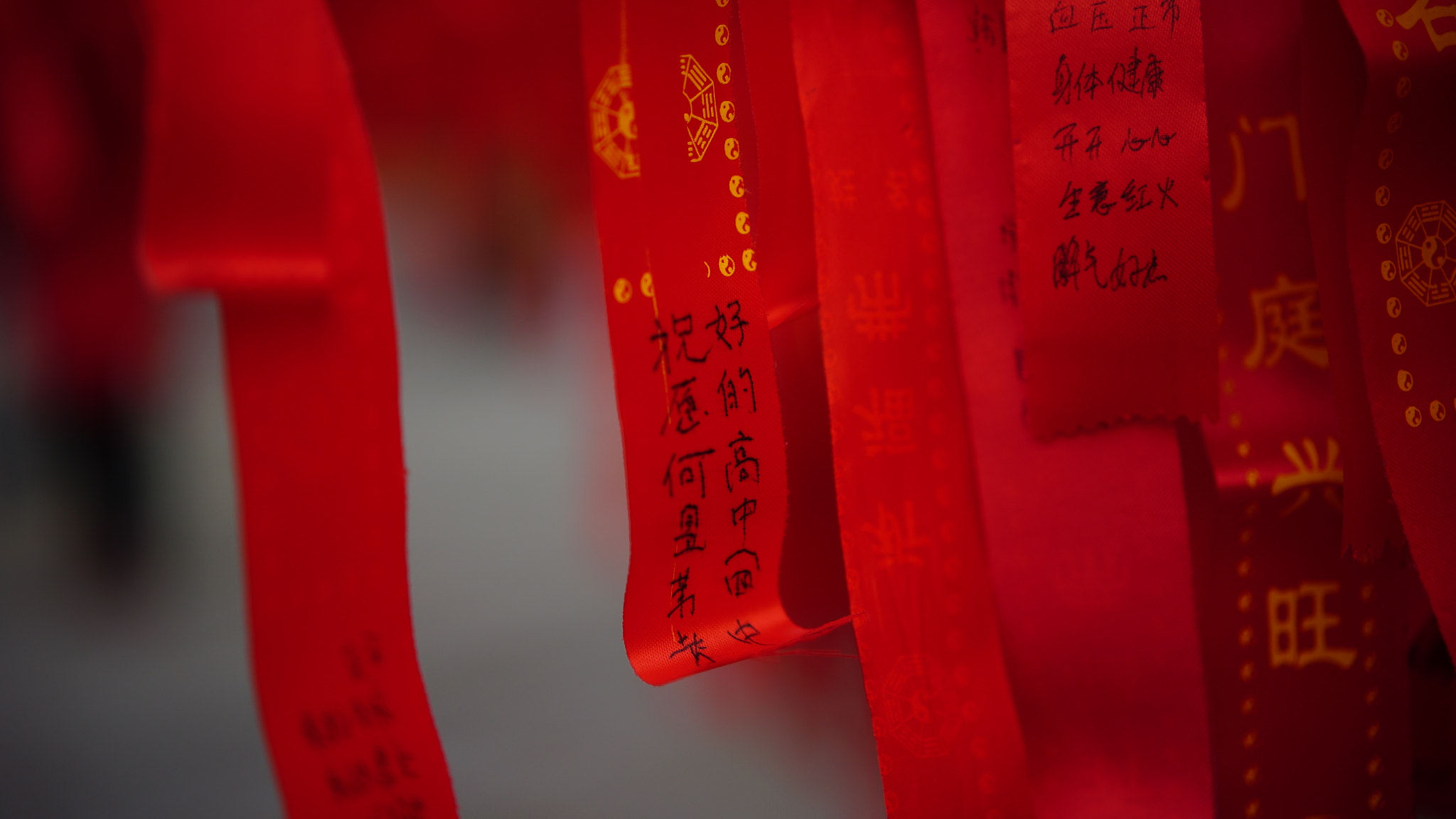 Sony a7S + Sony Sonnar T* FE 55mm F1.8 ZA sample photo. Dsc photography