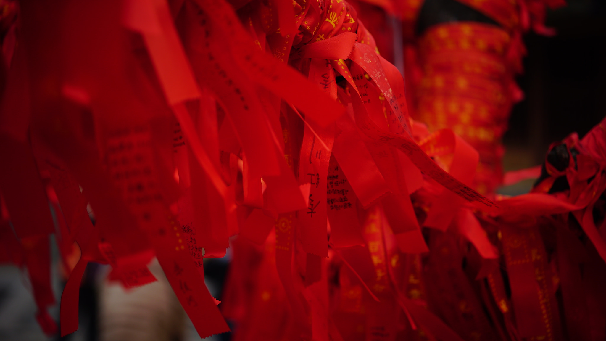 Sony a7S + Sony Sonnar T* FE 55mm F1.8 ZA sample photo. Dsc photography