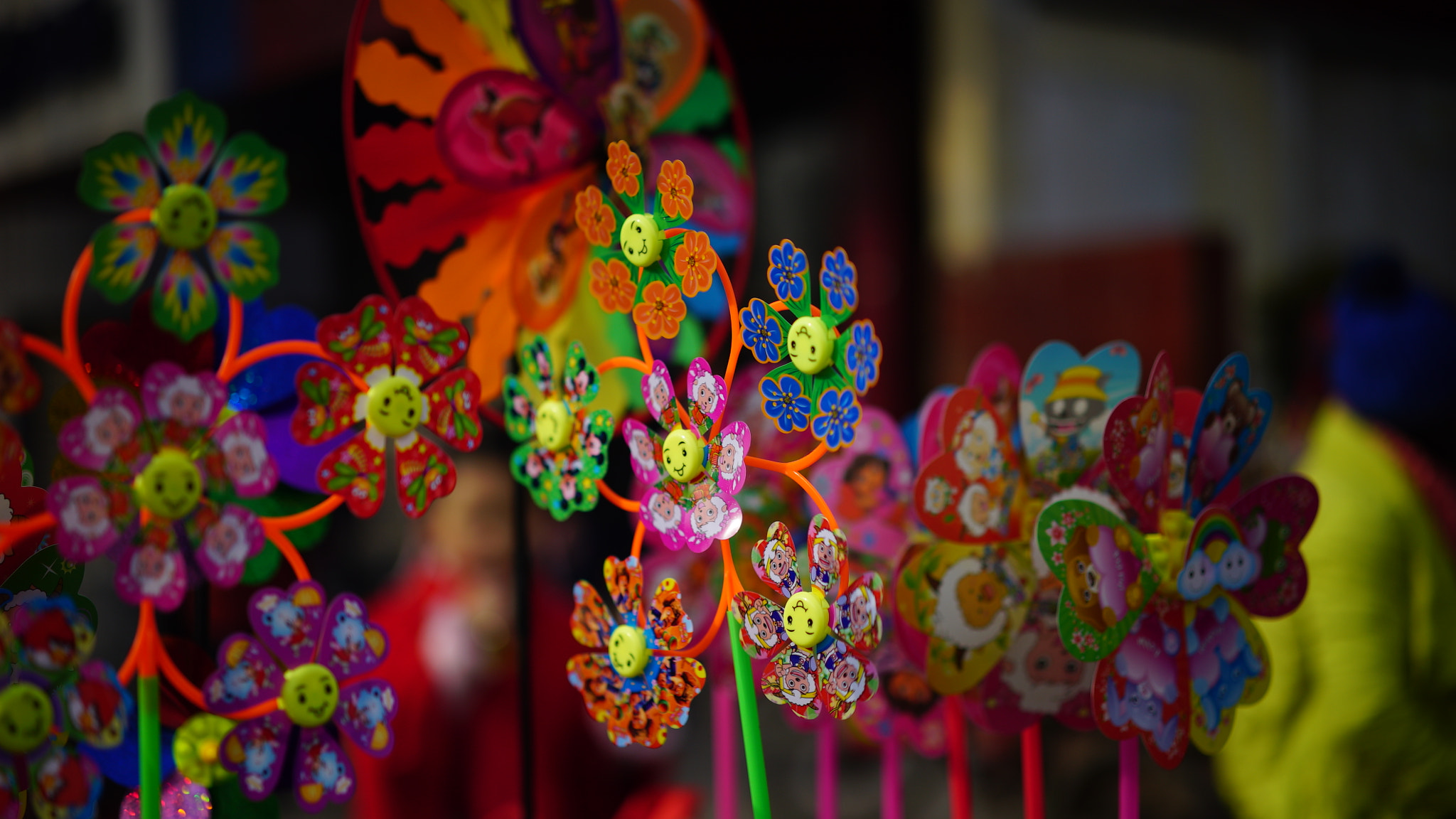 Sony a7S + Sony Sonnar T* FE 55mm F1.8 ZA sample photo. Dsc photography