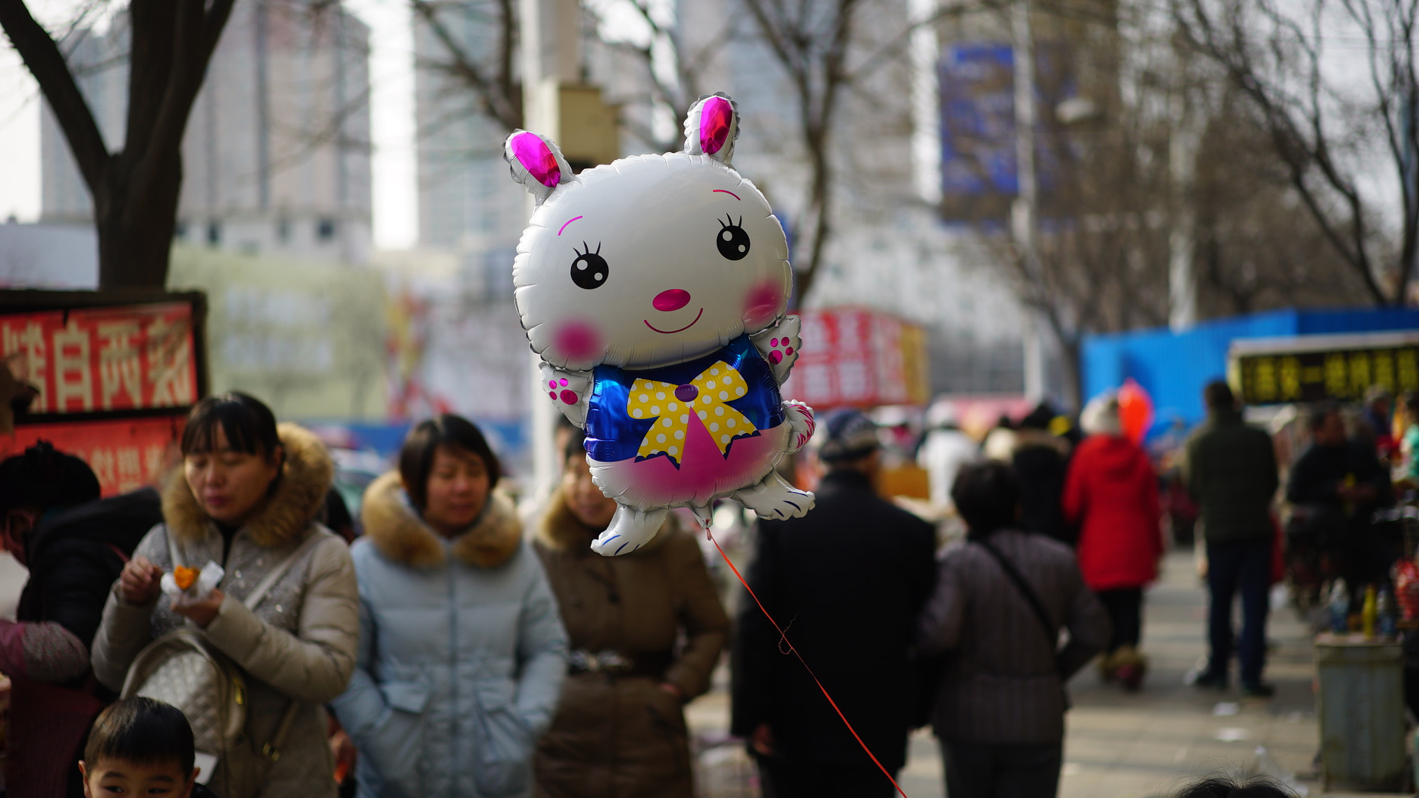 Sony a7S + Sony Sonnar T* FE 55mm F1.8 ZA sample photo. Dsc photography