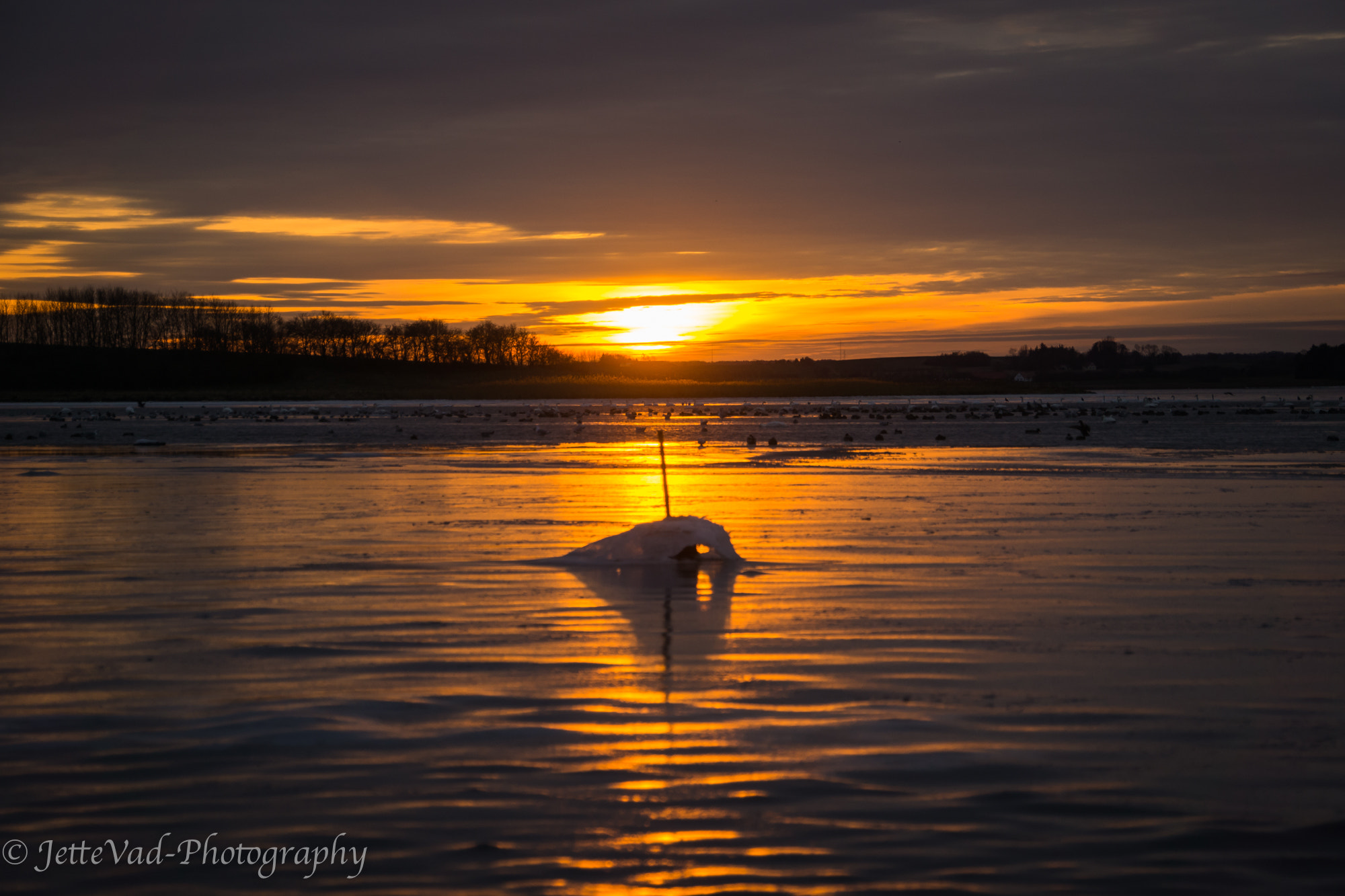 Sony E 18-200mm F3.5-6.3 OSS sample photo. Frozen sunset photography