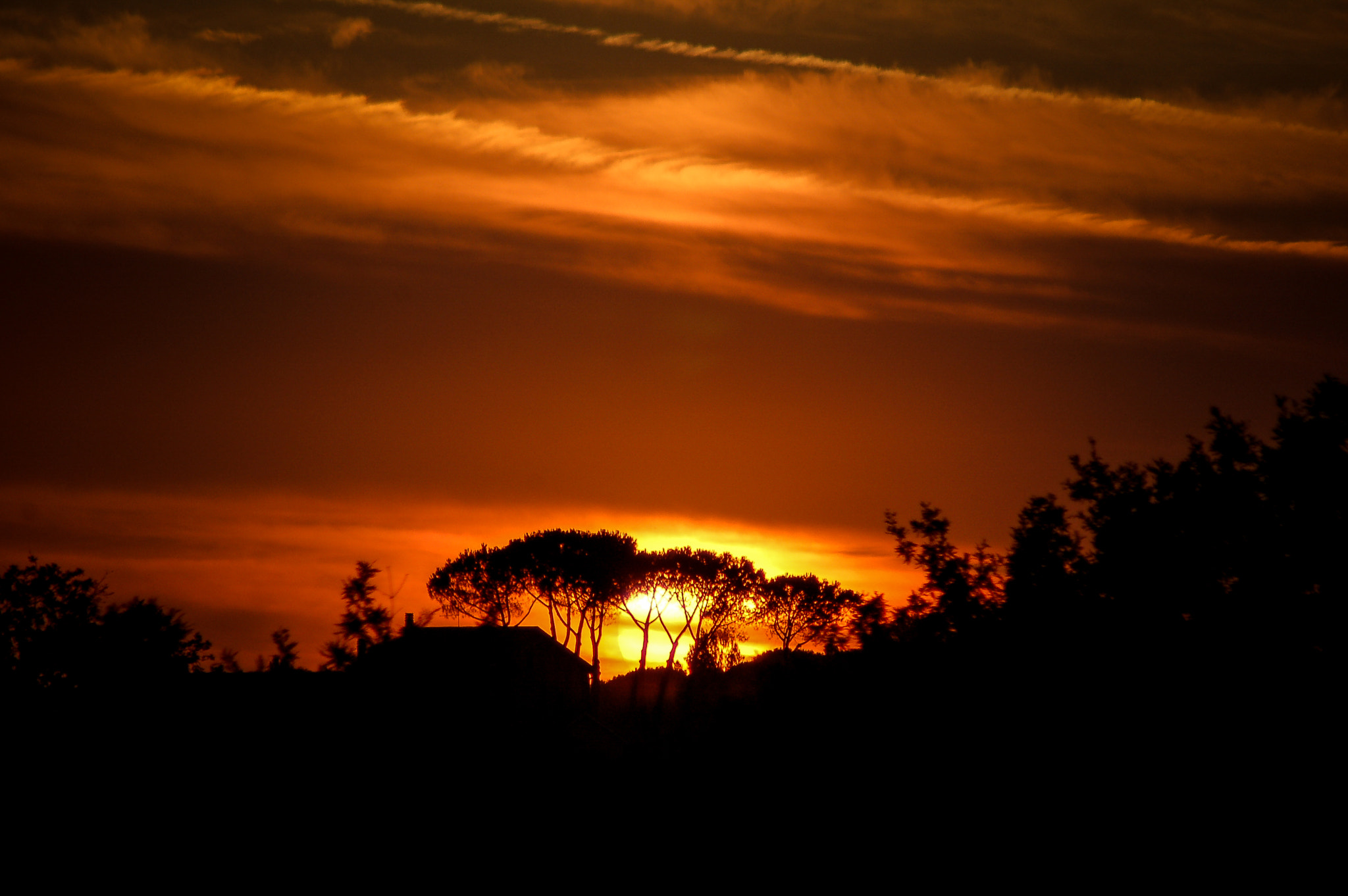 Nikon D50 sample photo. Sunset in rome photography