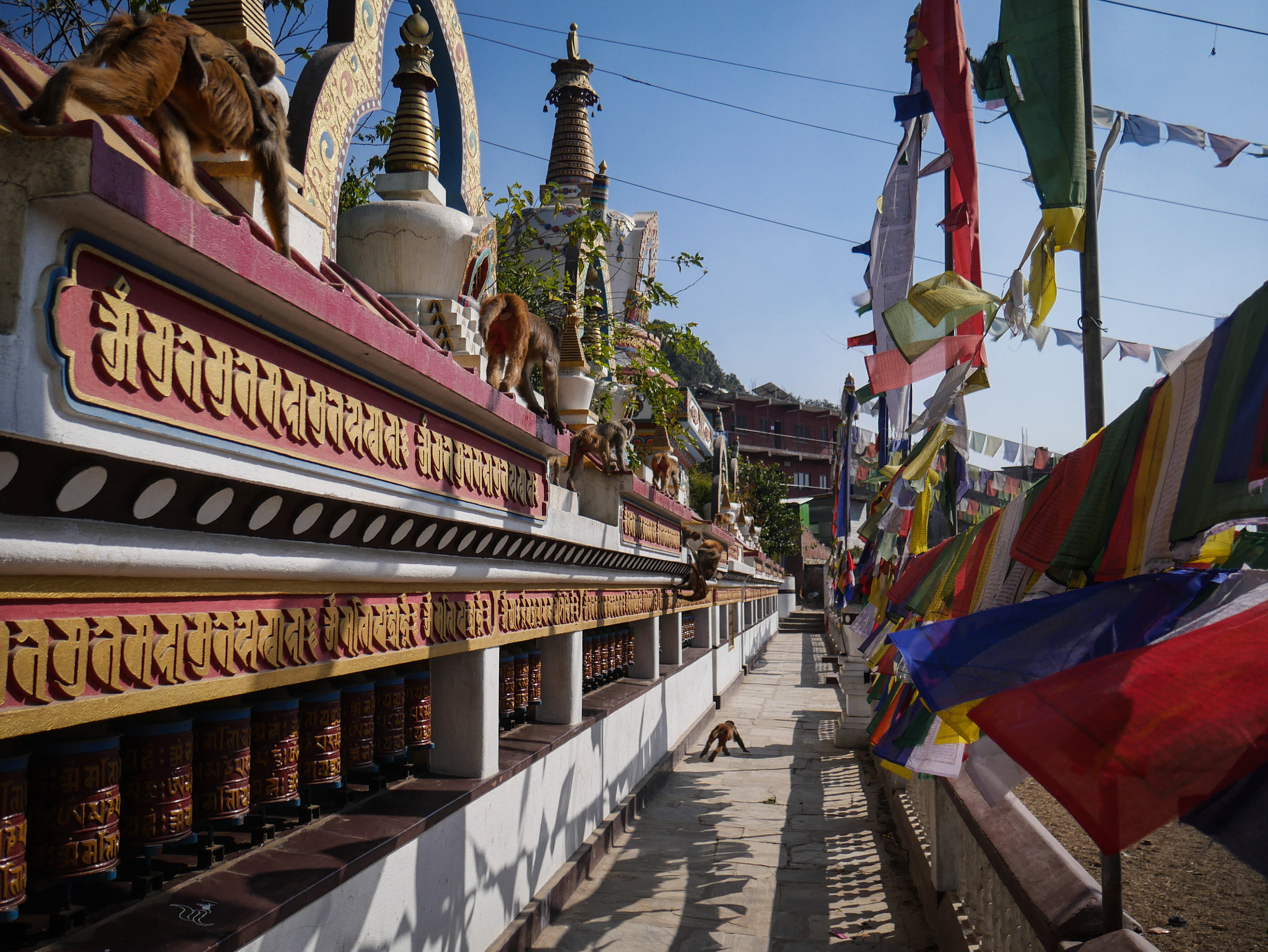 Panasonic Lumix DMC-G7 sample photo. Monkey temple, kathmandu. photography