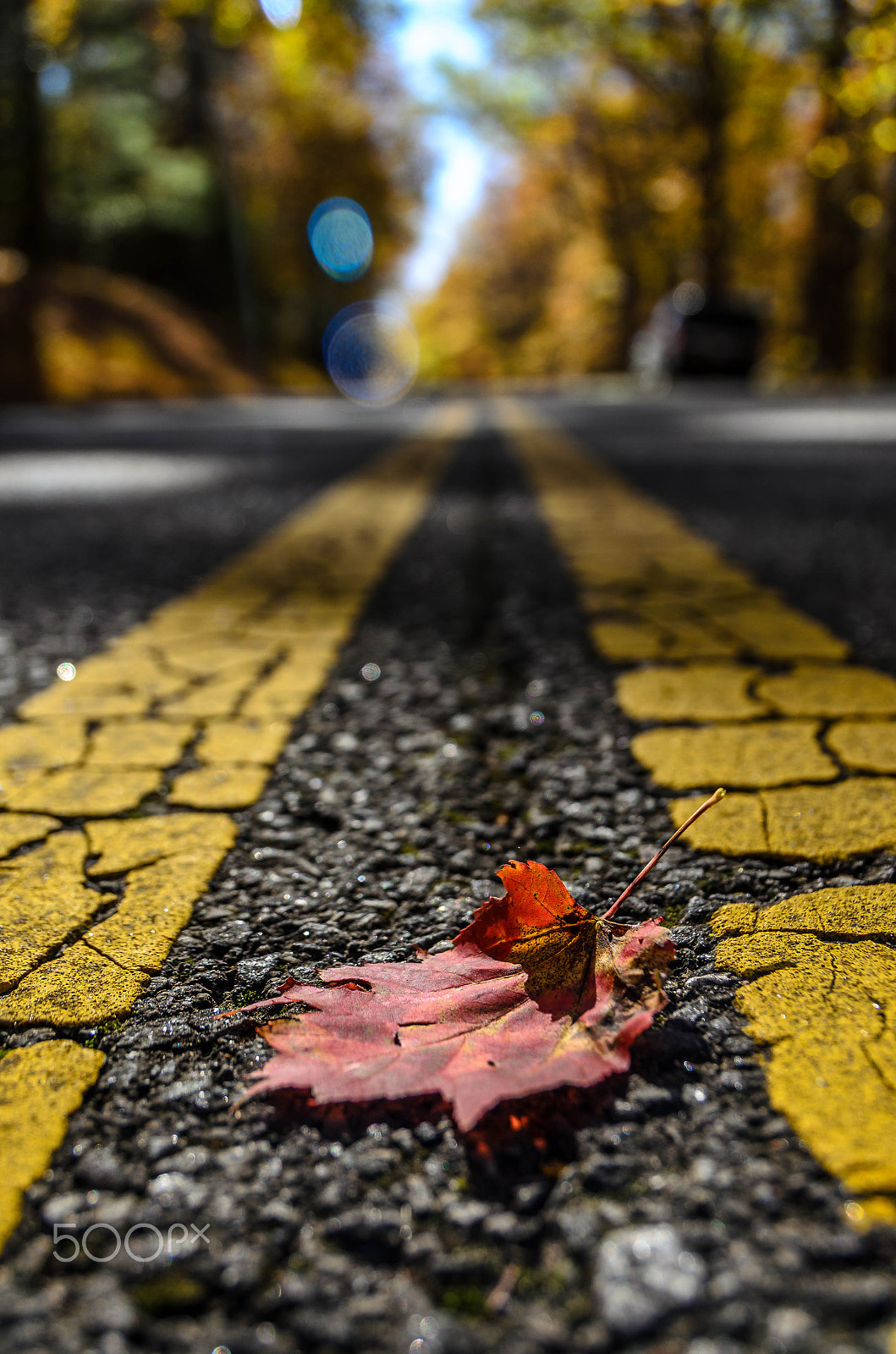 Sigma 18-250mm F3.5-6.3 DC OS HSM sample photo. Autumn roads.jpg photography