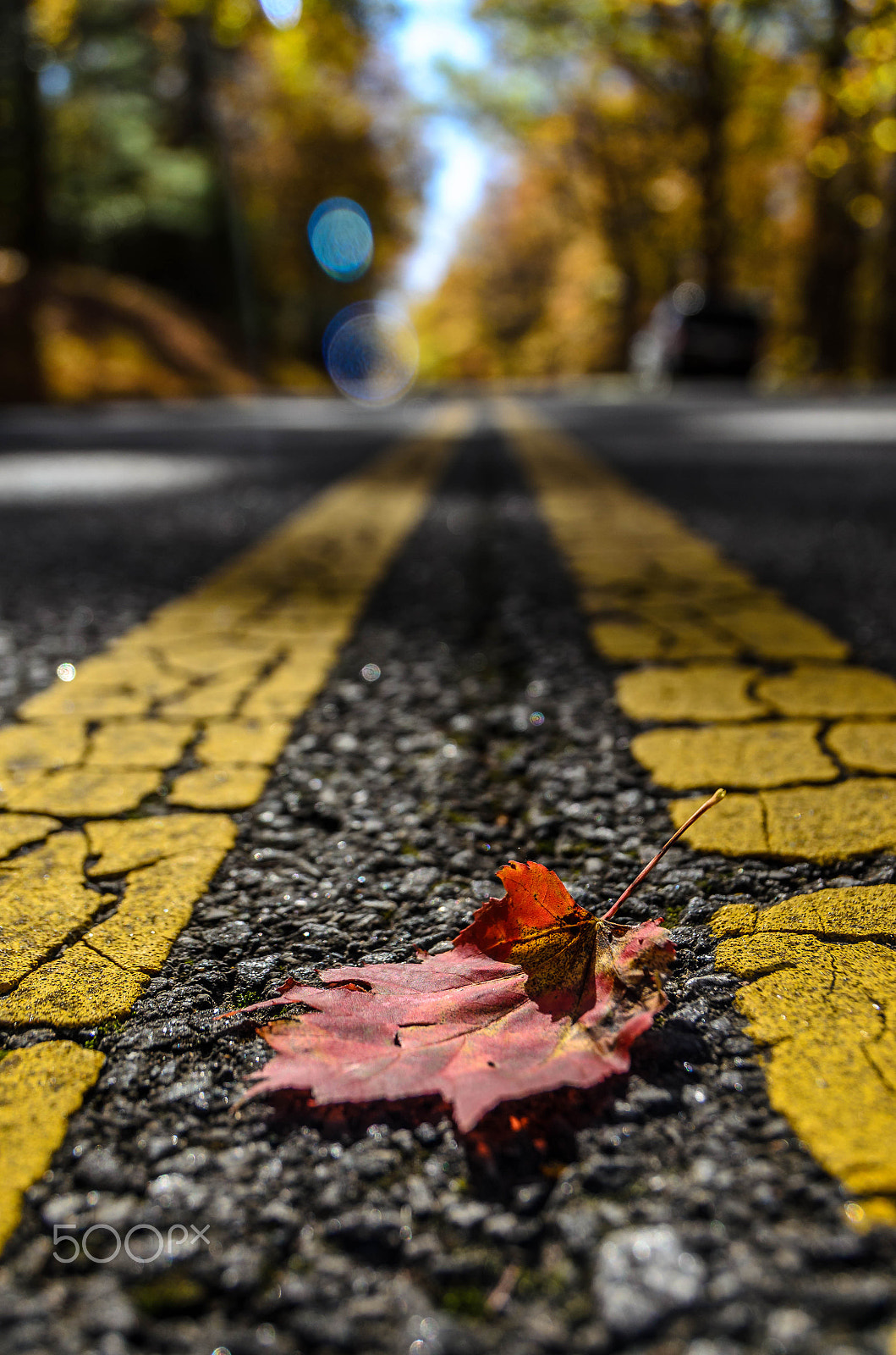 Nikon D5100 + Sigma 18-250mm F3.5-6.3 DC OS HSM sample photo. Autumn roads.jpg photography