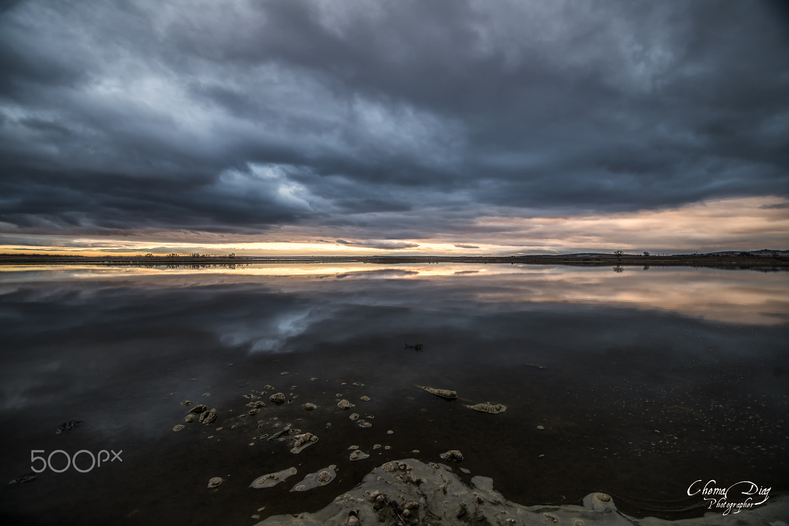 Nikon D800 sample photo. Reflections. photography