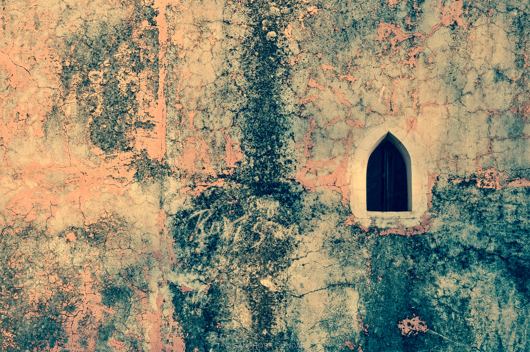 Nikon D5000 sample photo. The window photography