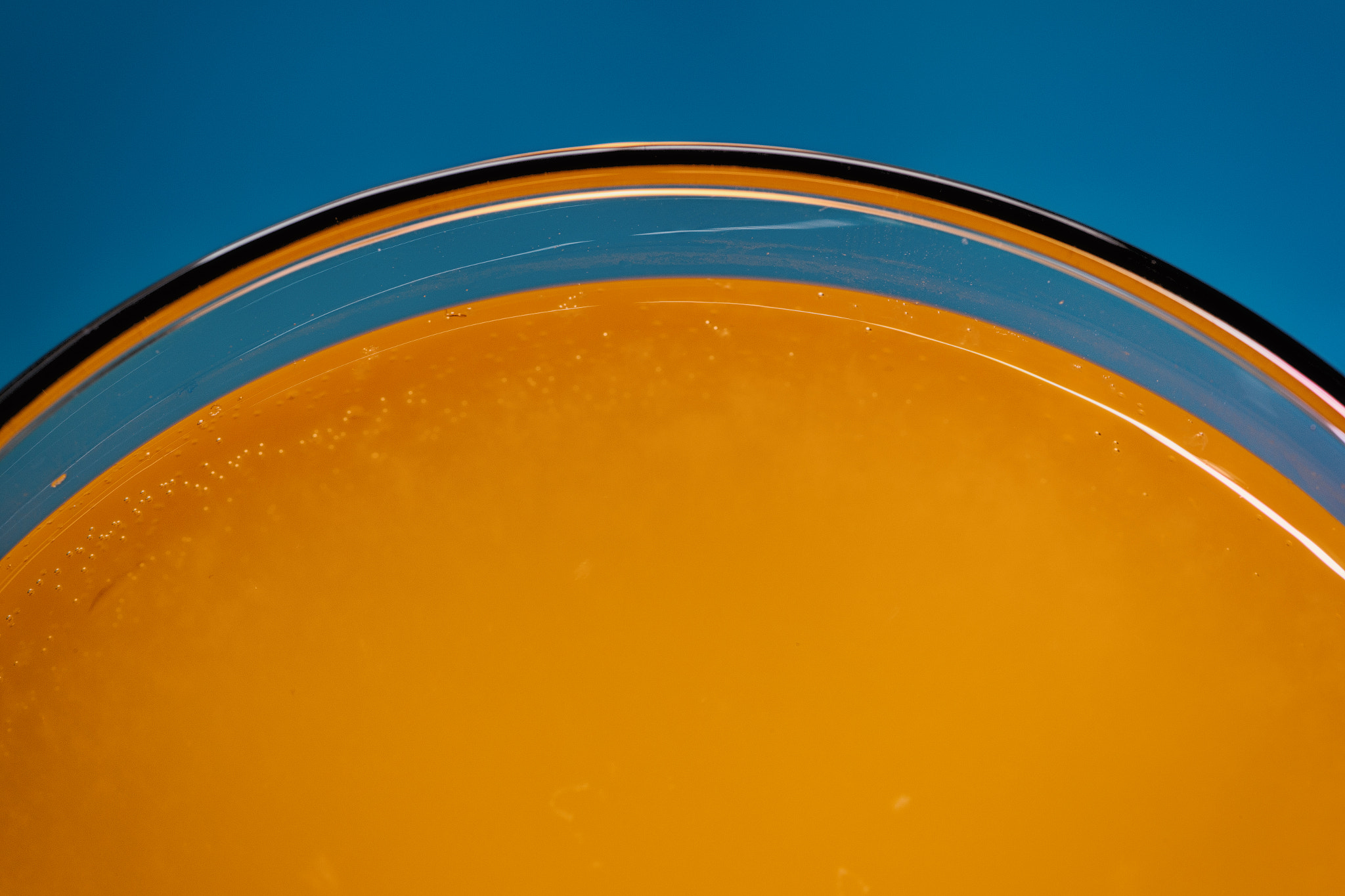 Canon EOS 6D + Tamron SP AF 90mm F2.8 Di Macro sample photo. Orange juice photography