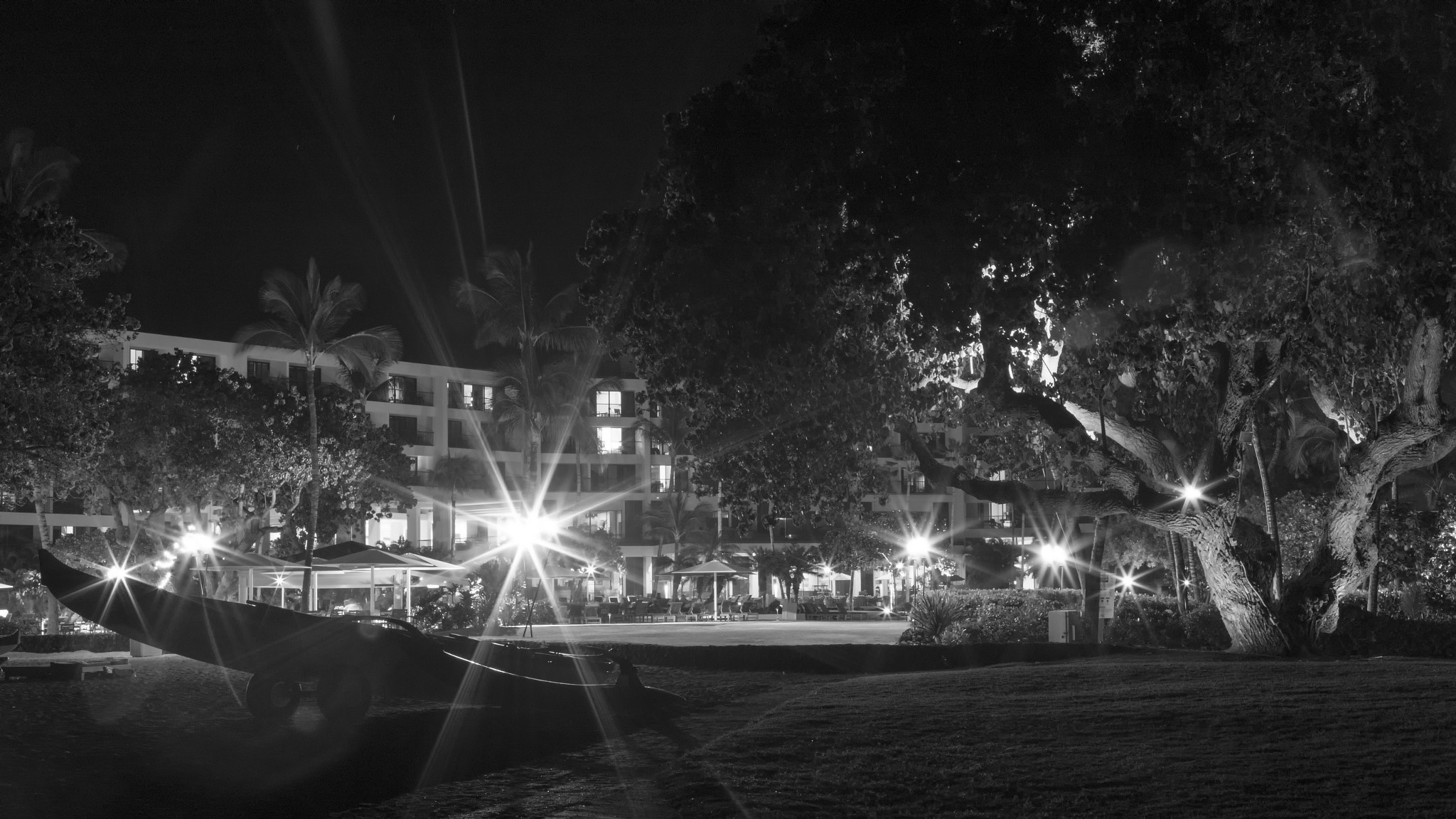 Canon EOS-1D X Mark II sample photo. Resort lights photography