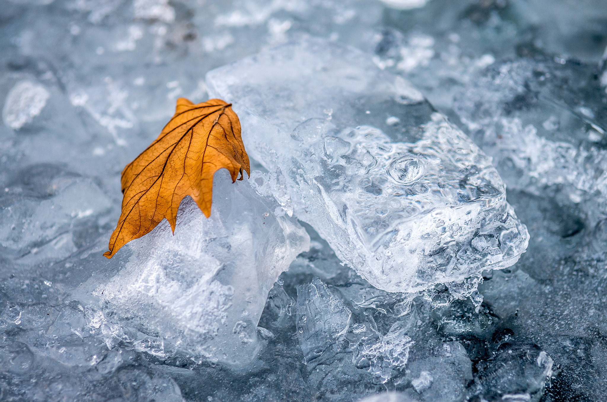 Pentax K-5 II sample photo. Ice photography