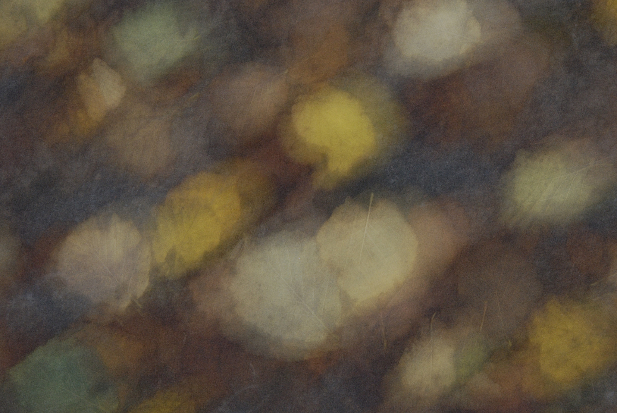 Nikon AF Nikkor 24-85mm F2.8-4D IF sample photo. Abstract photography
