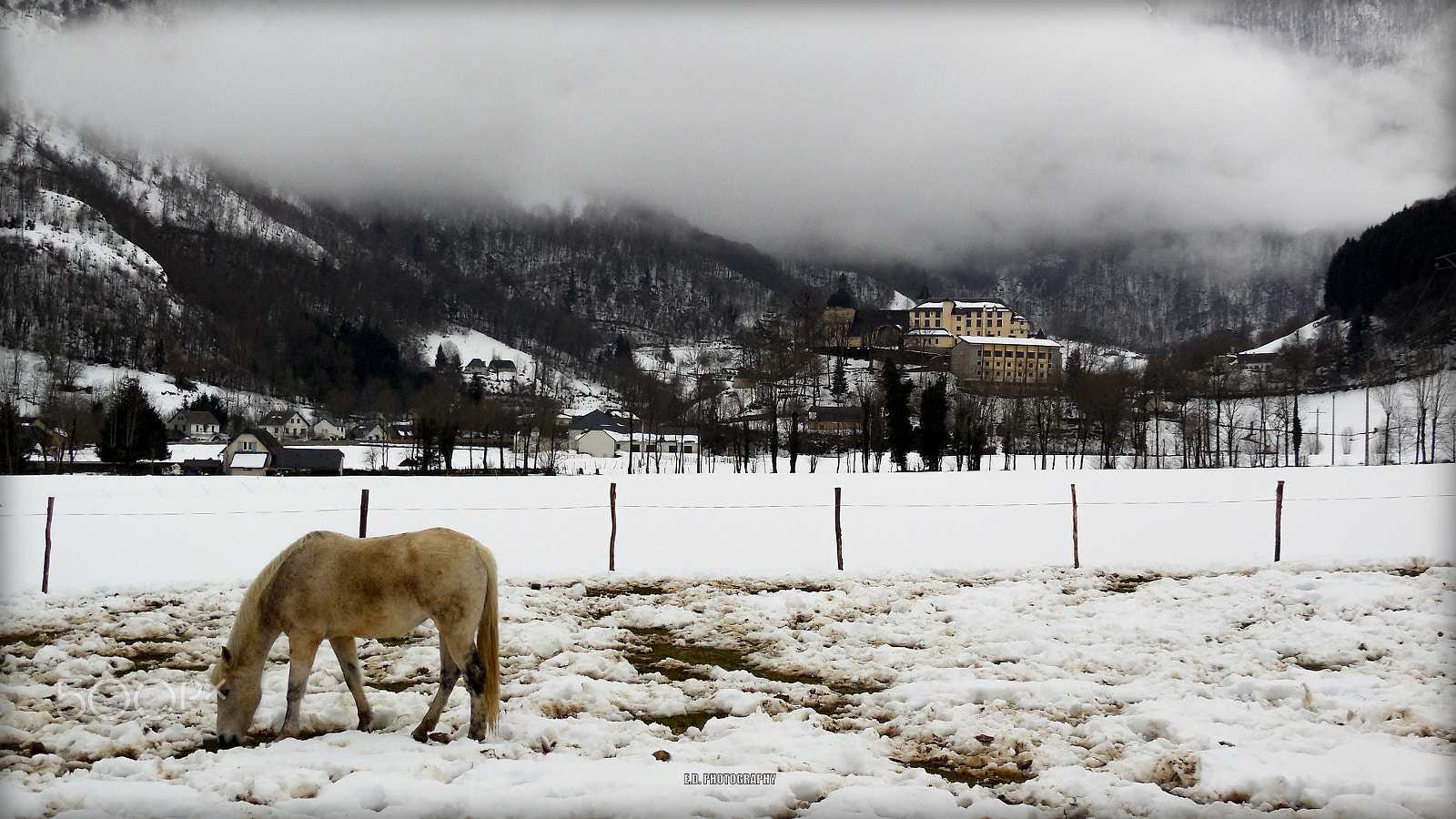 Nikon Coolpix S6400 sample photo. Horse in the snow, arrens-marsous, french-pyrenees photography