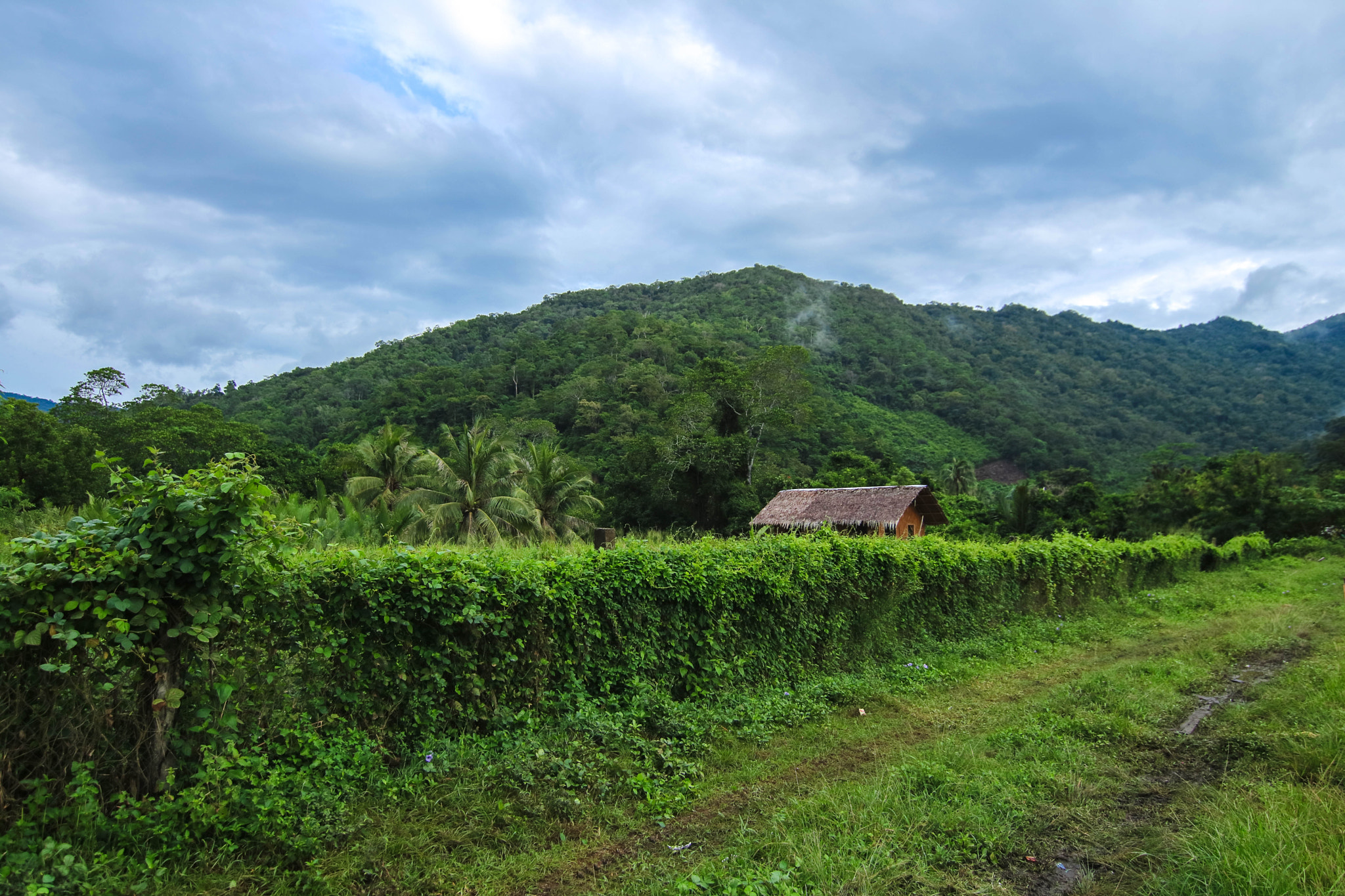 Canon EOS M3 sample photo. Along the road photography