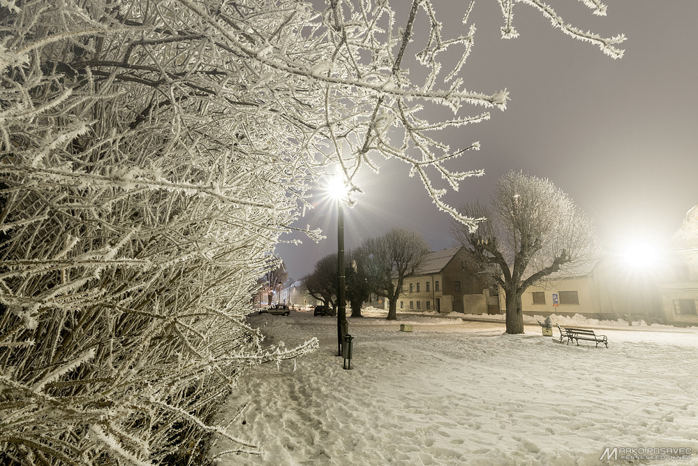 Nikon D500 sample photo. January photography
