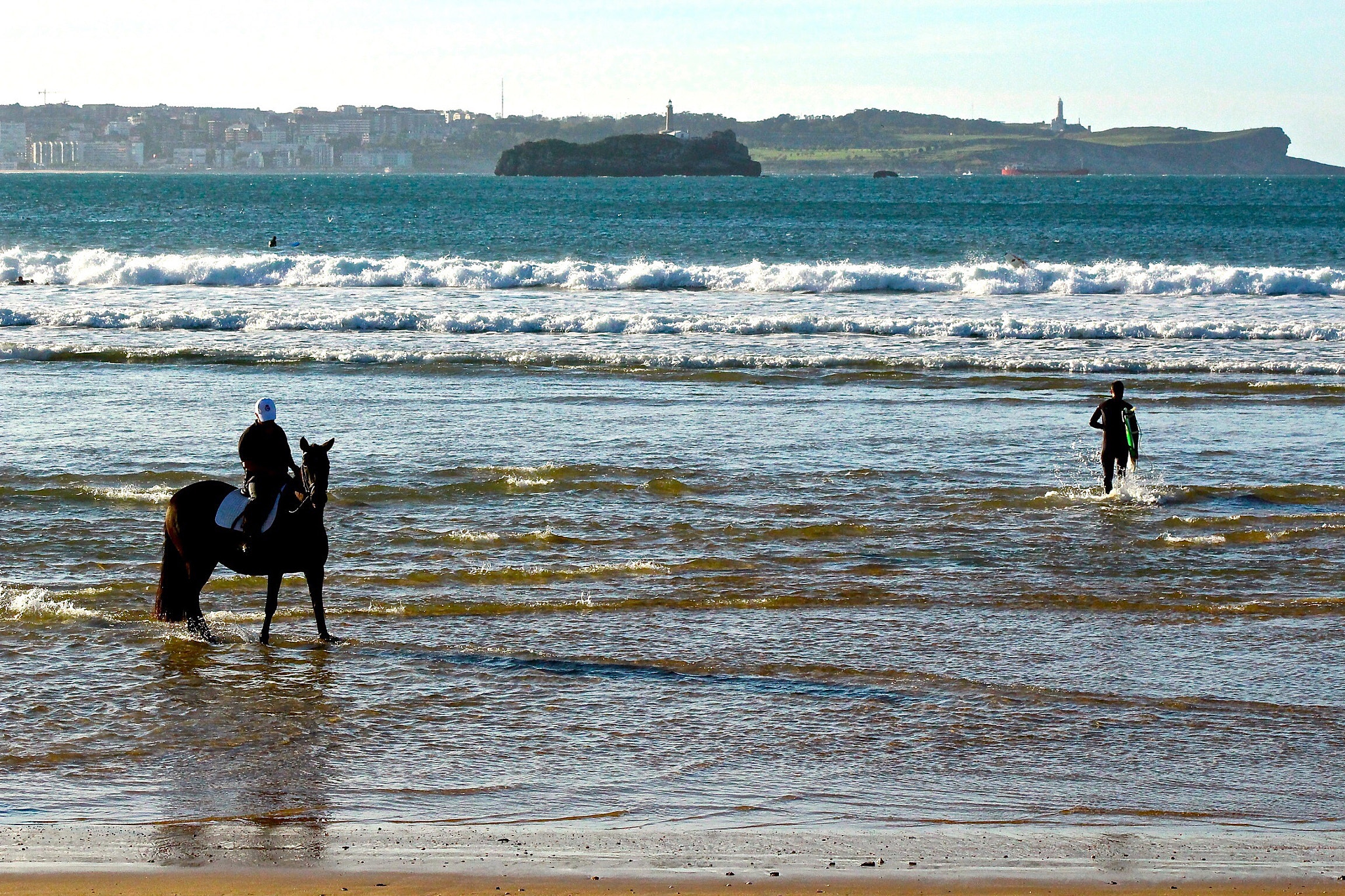 Canon EOS 100D (EOS Rebel SL1 / EOS Kiss X7) + EF75-300mm f/4-5.6 sample photo. Water horse photography