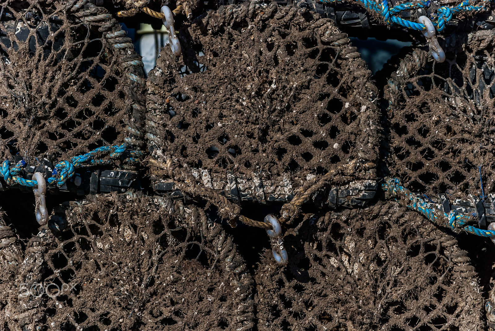 Nikon D40X sample photo. Lobster pots photography