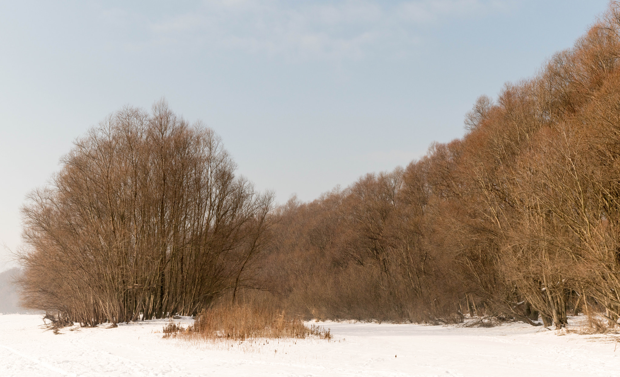 Nikon D5500 sample photo. Winter photography