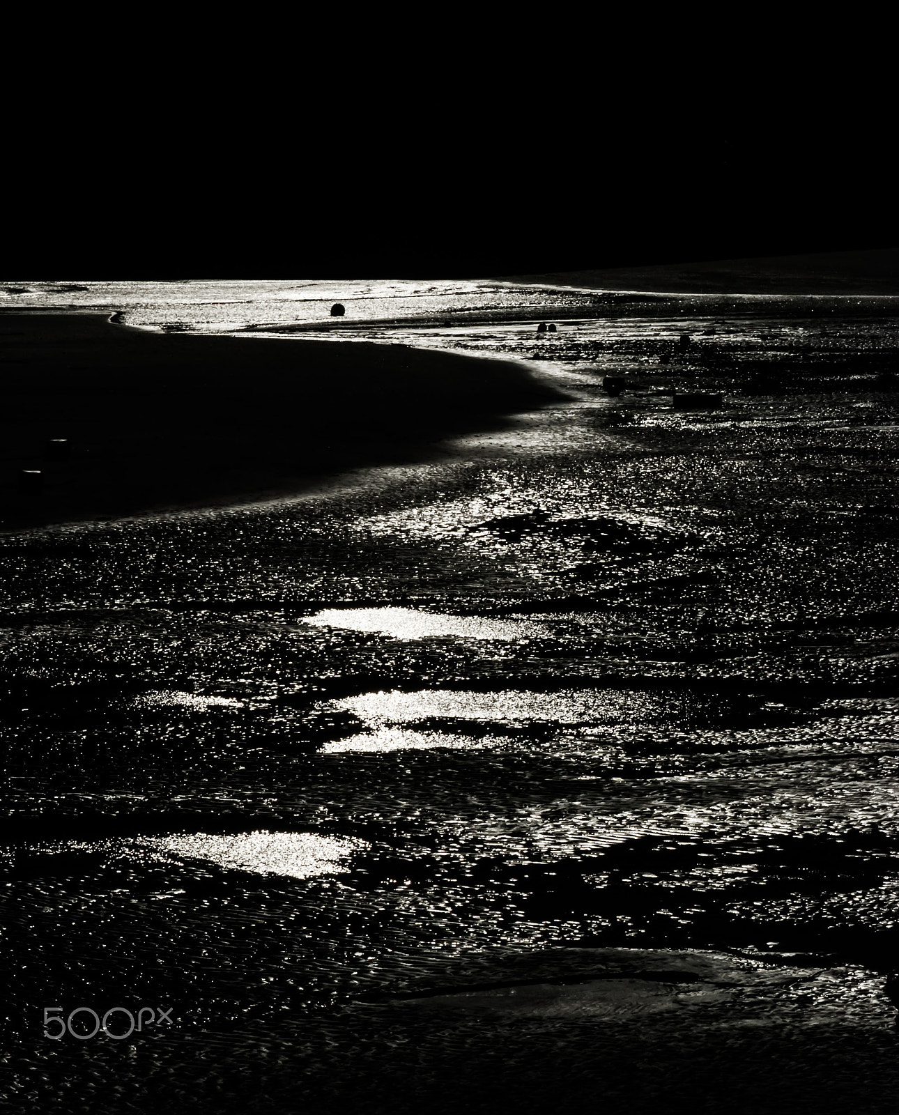 Nikon D40X sample photo. Reflections on the shore photography