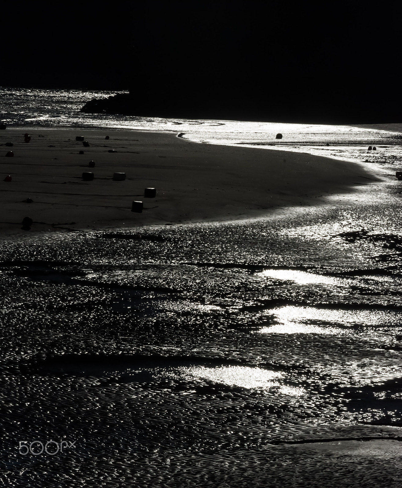 Nikon D40X sample photo. Reflections on the shore photography