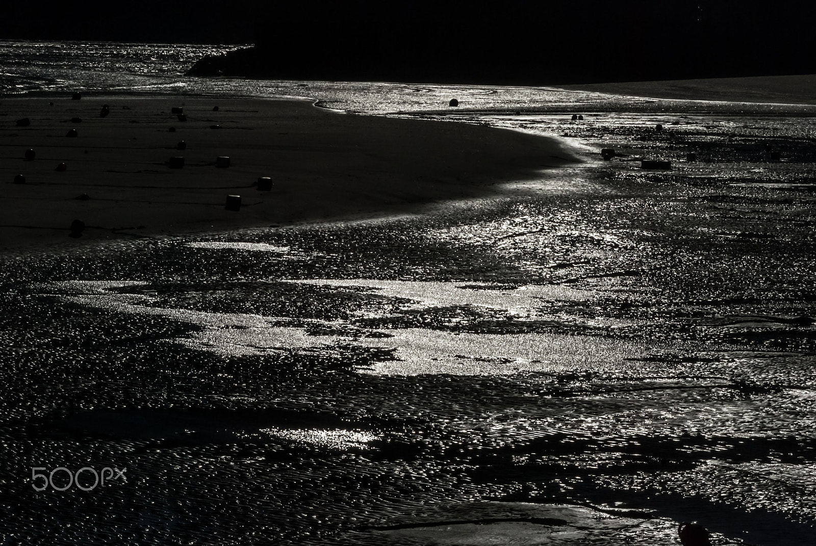 Nikon D40X sample photo. Reflections on the shore photography