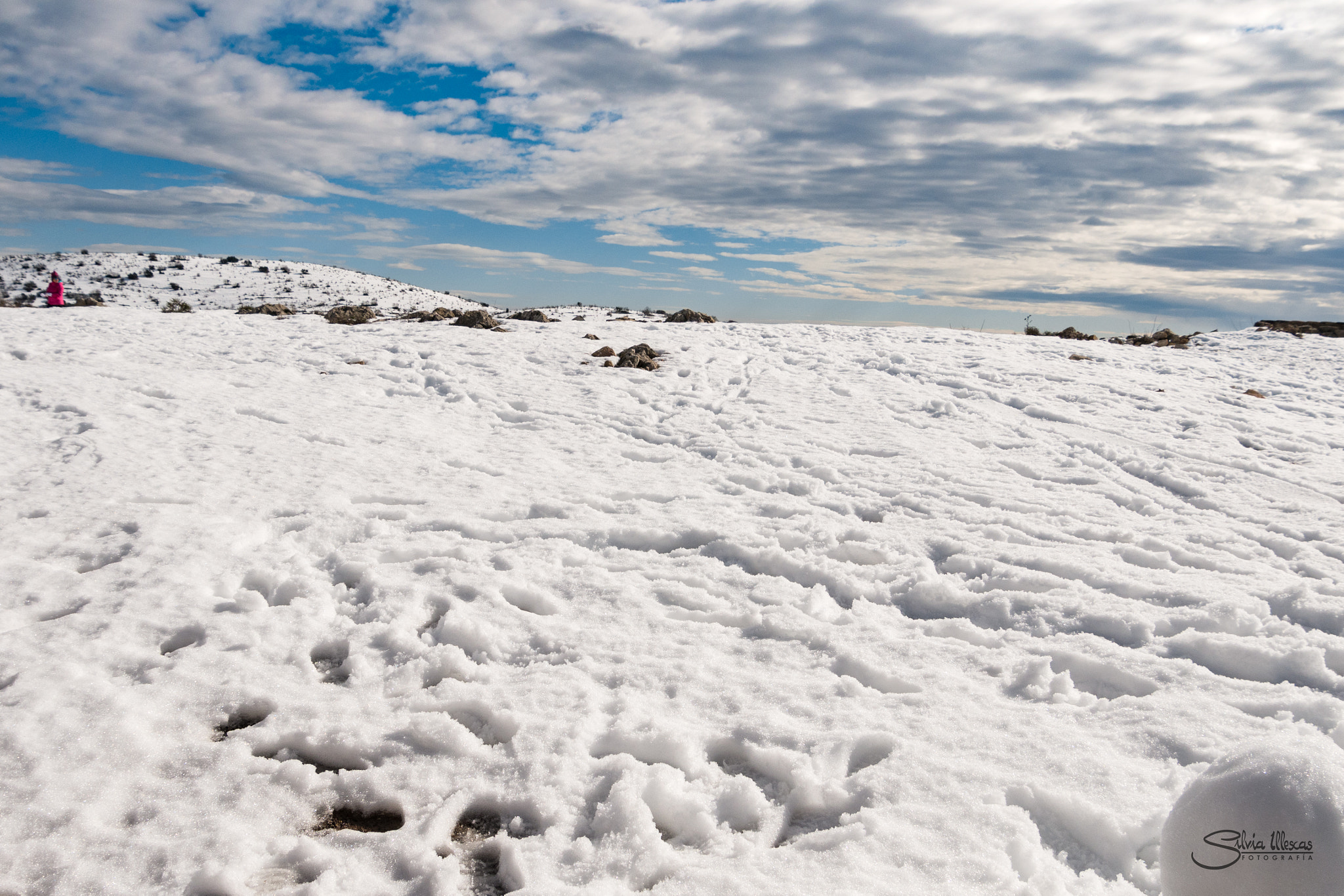 Panasonic Lumix DMC-G7 sample photo. Nieve photography