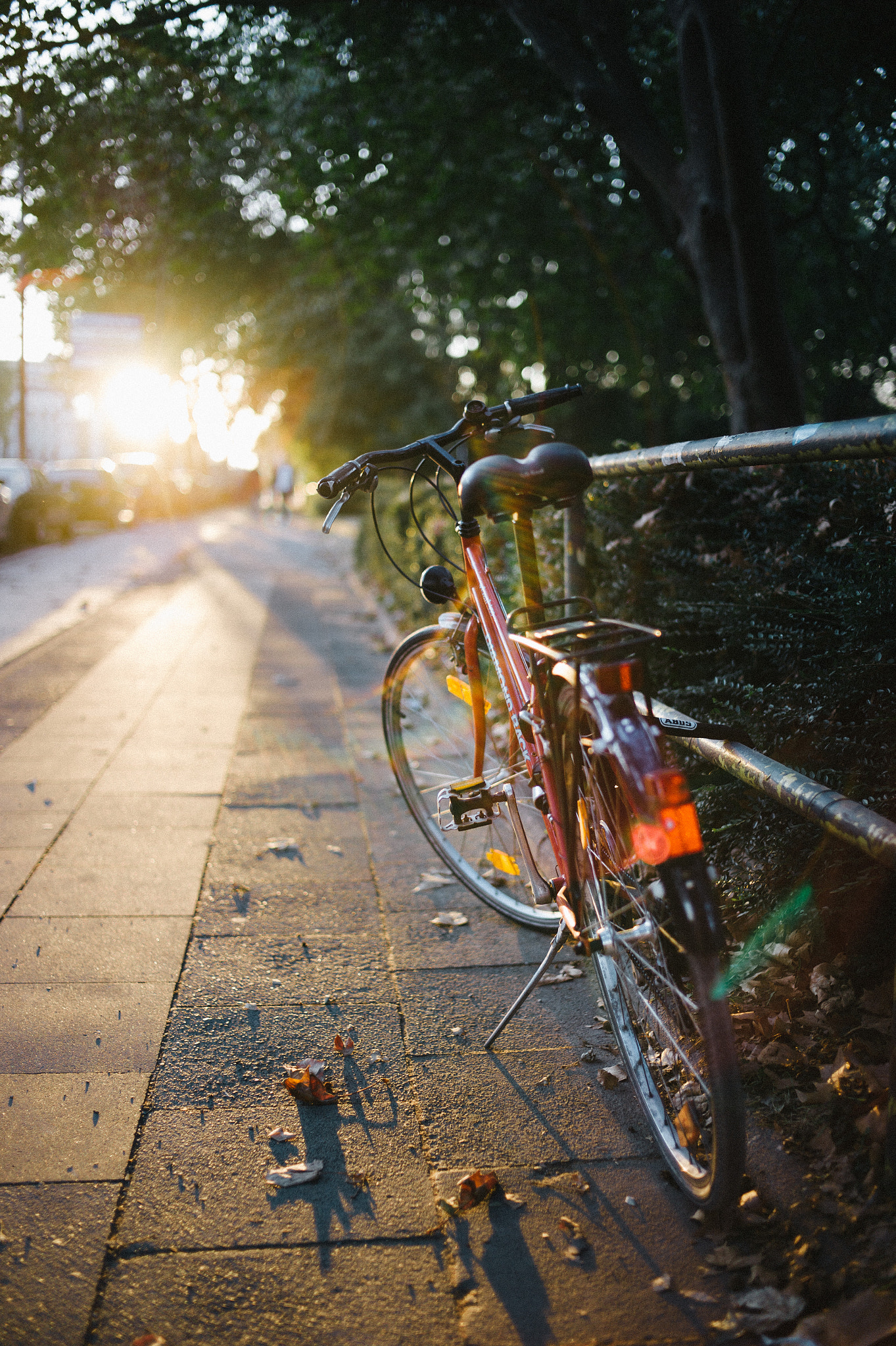 Leica M9 + Leica Summilux-M 35mm F1.4 ASPH sample photo. - photography