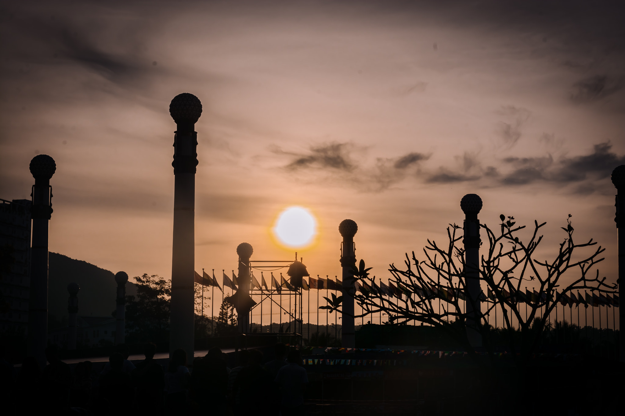 Nikon D7100 + Sigma 50mm F1.4 DG HSM Art sample photo