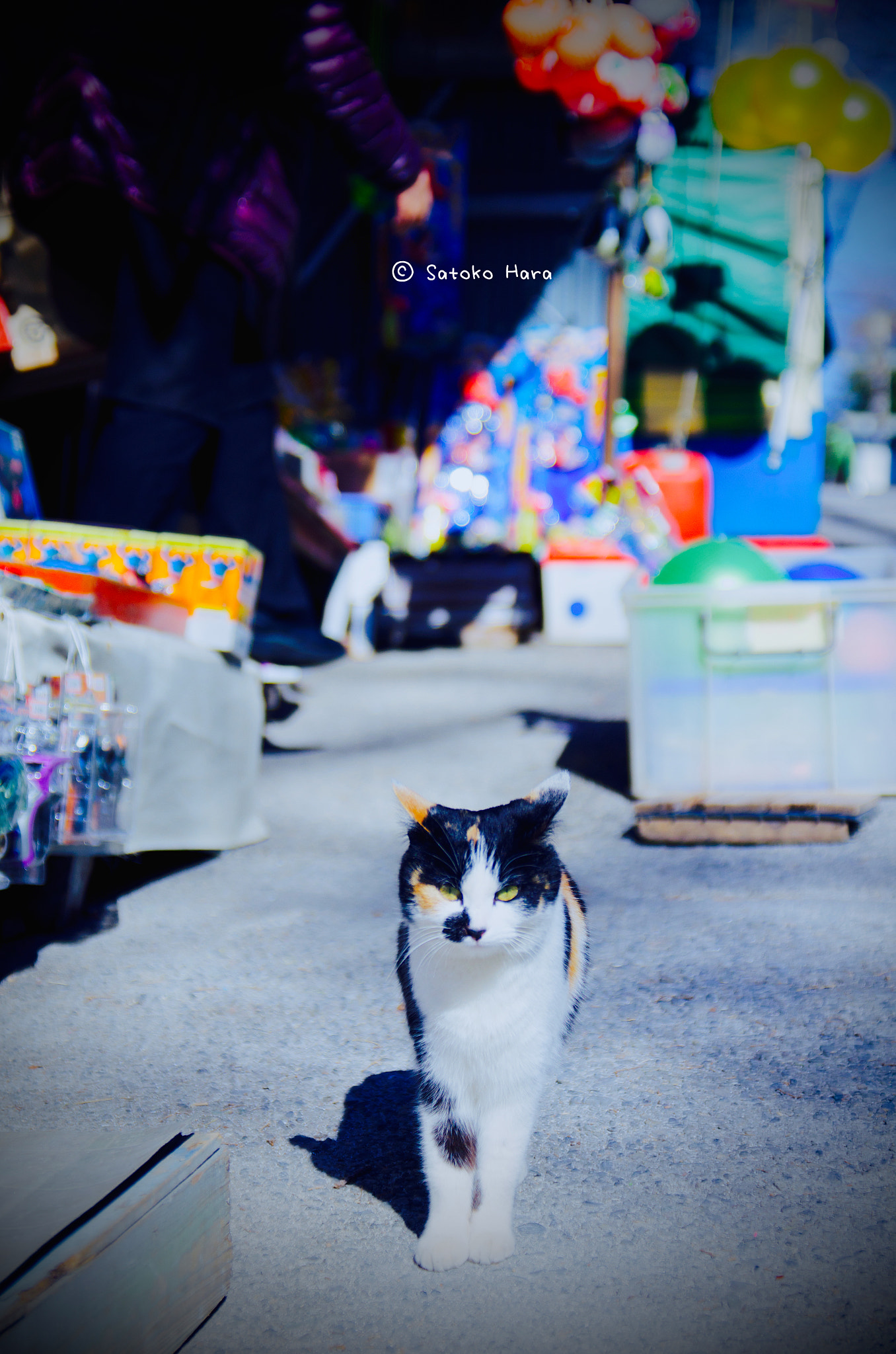 Pentax smc DA* 16-50mm F2.8 ED AL (IF) SDM sample photo. Territory photography