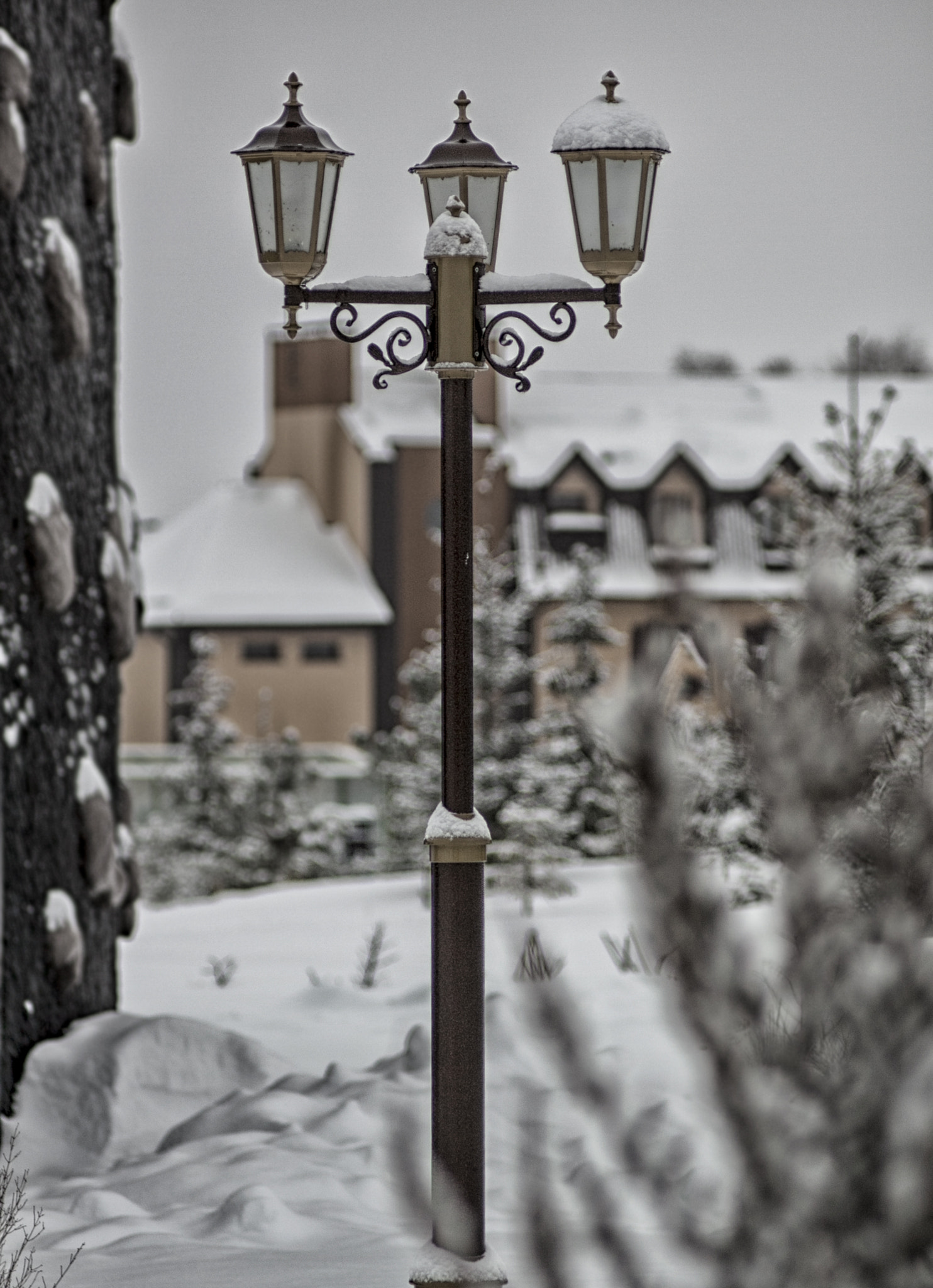 Canon EF 35-80mm f/4-5.6 sample photo. Img photography
