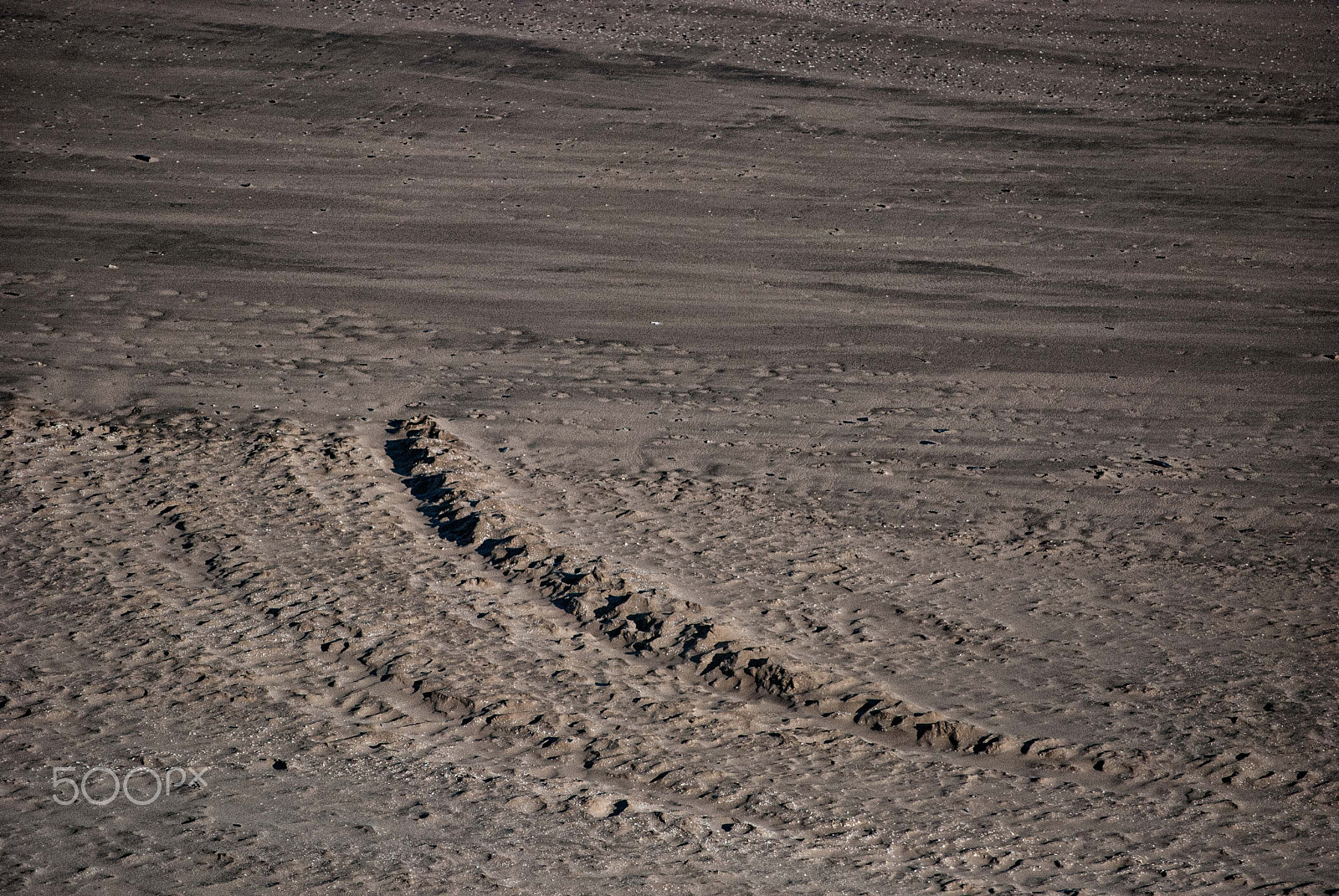 Nikon D40X sample photo. Tracks in the sand photography