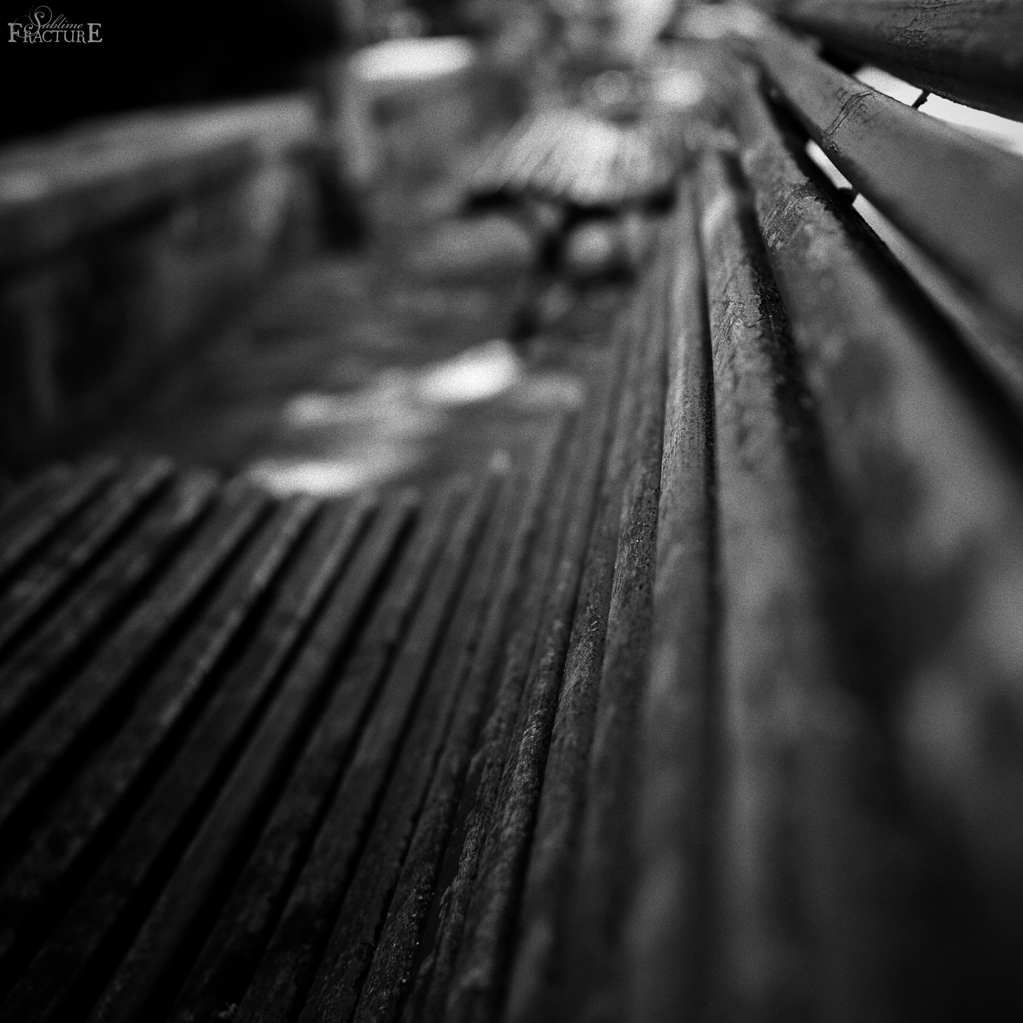 Nikon D80 + Nikon AF-S DX Nikkor 35mm F1.8G sample photo. Brokenhomes_2. photography