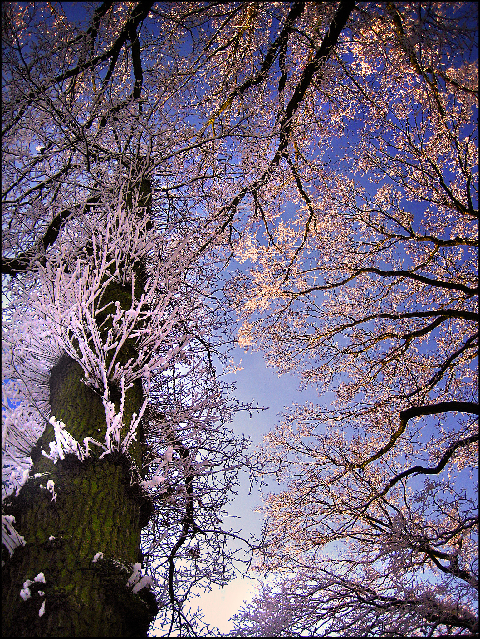 Canon DIGITAL IXUS 75 sample photo. Waiting for spring photography